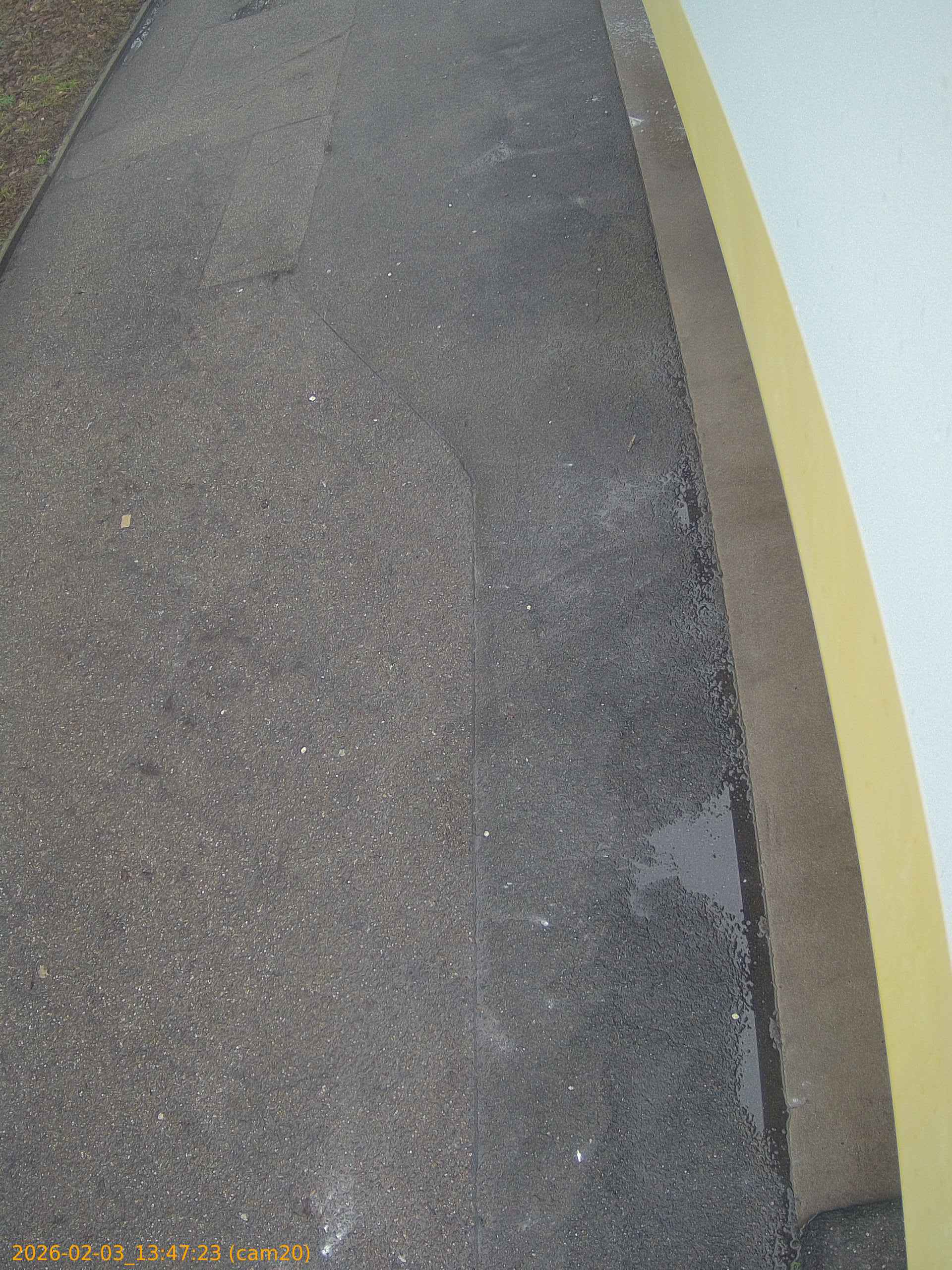 thumbnail_20260203134723