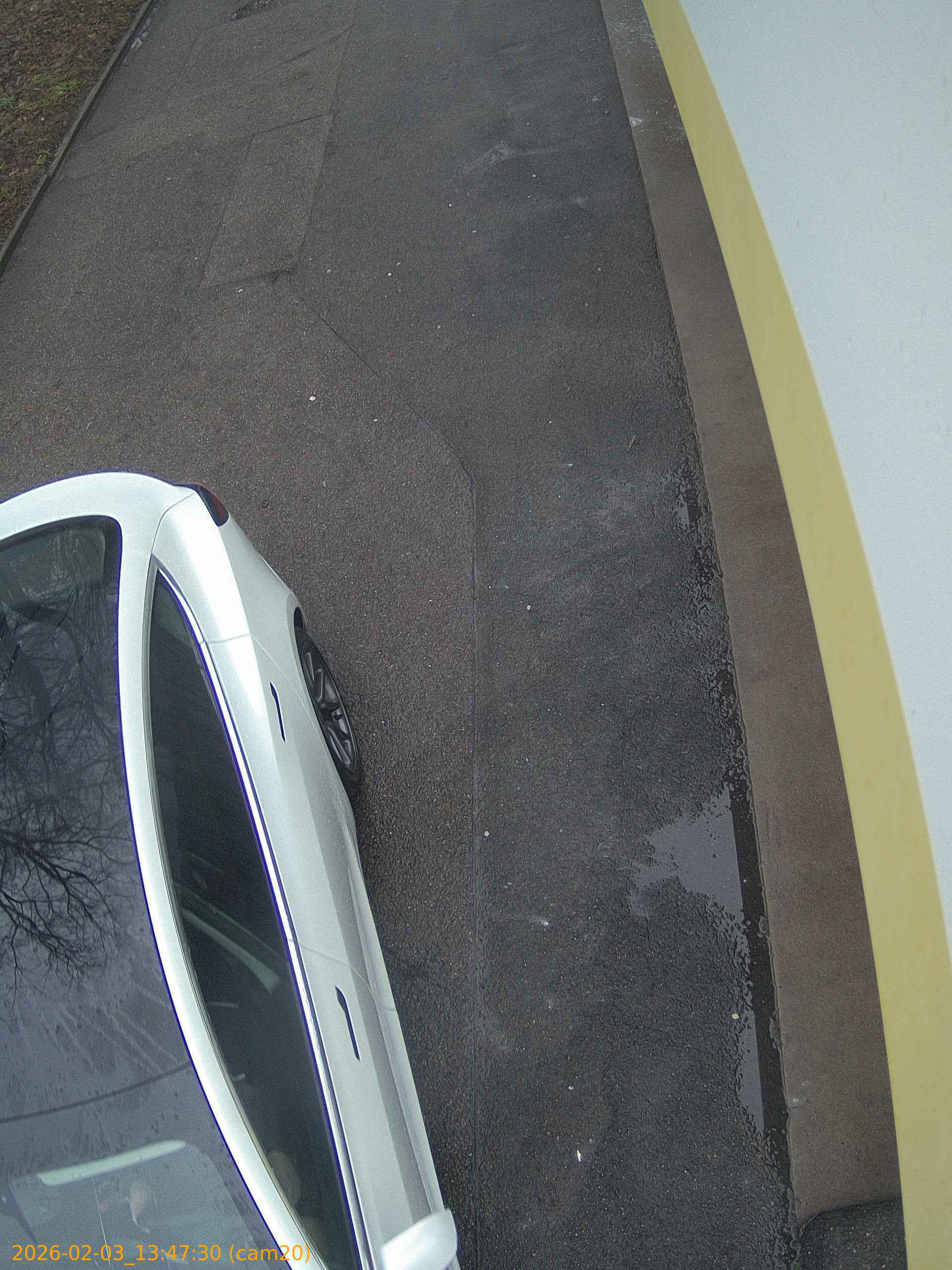 thumbnail_20260203134730