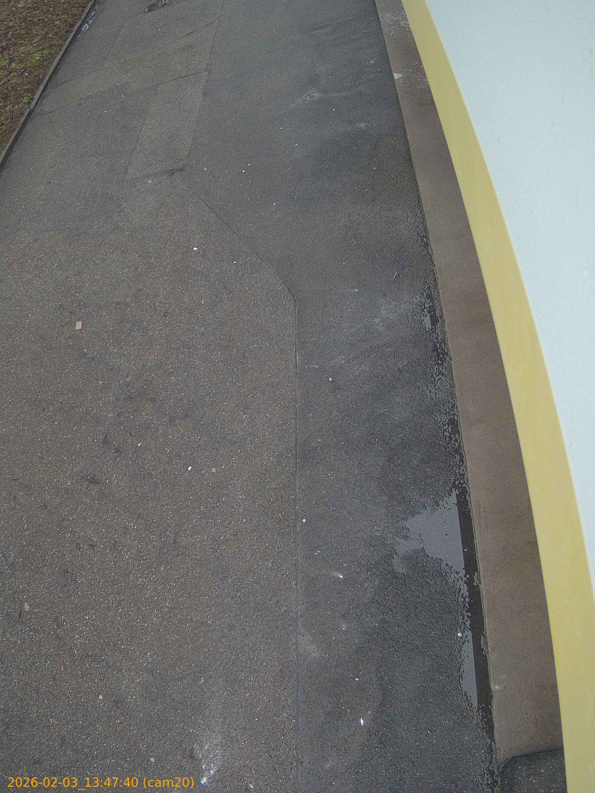 thumbnail_20260203134740