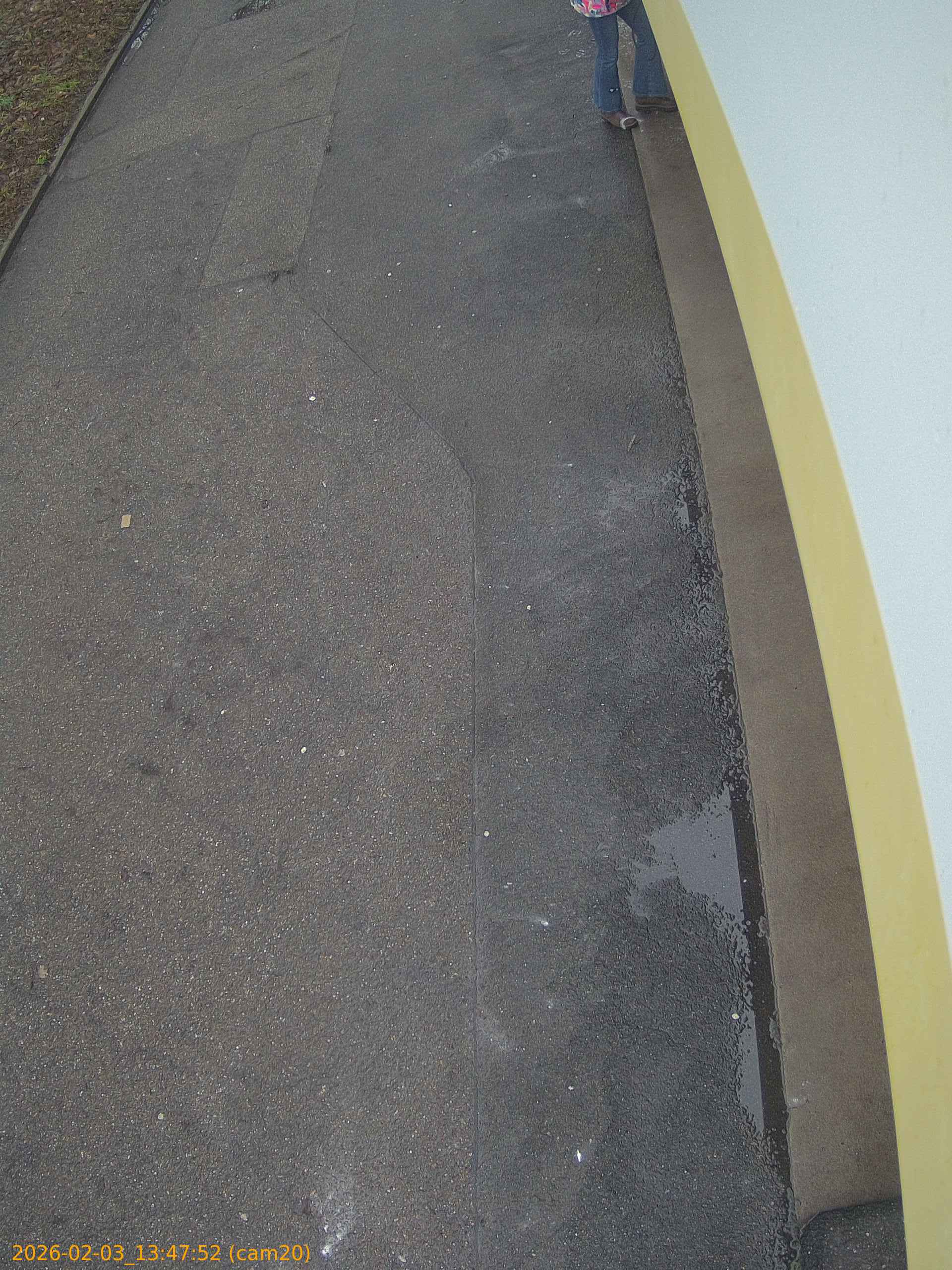 thumbnail_20260203134752