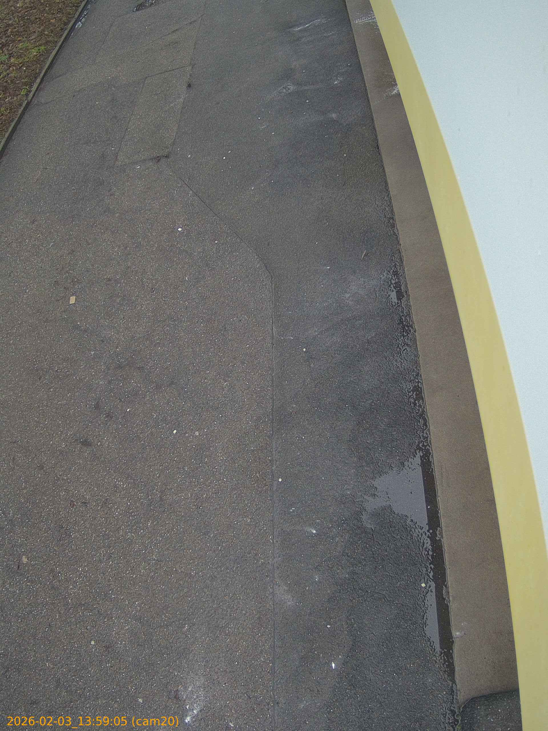 thumbnail_20260203135905