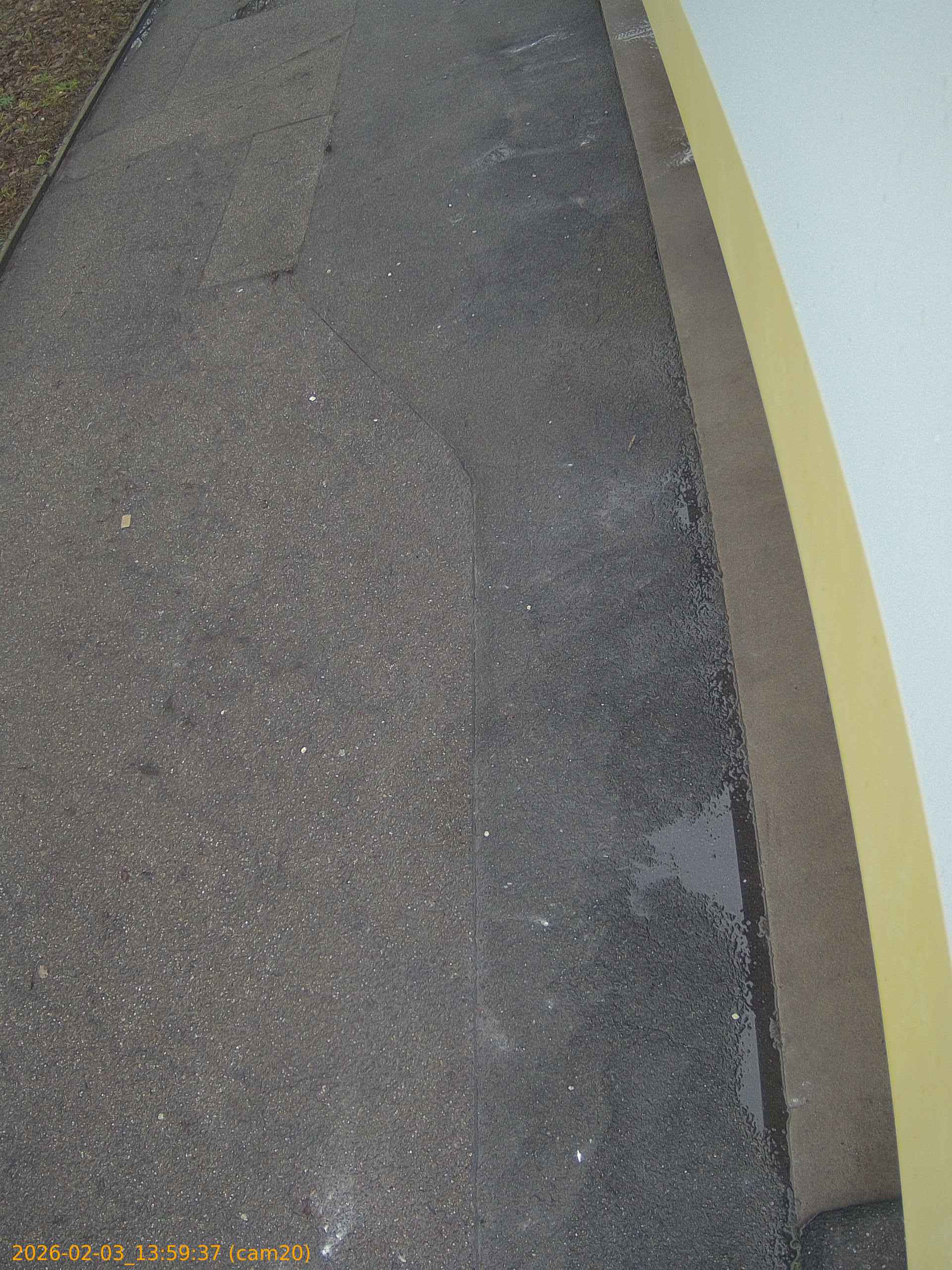 thumbnail_20260203135937