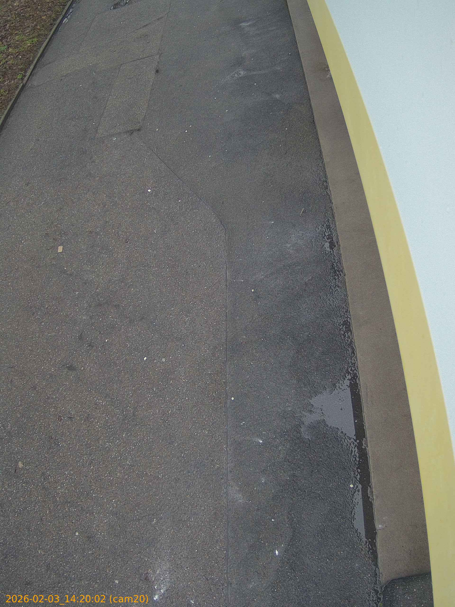 thumbnail_20260203142002