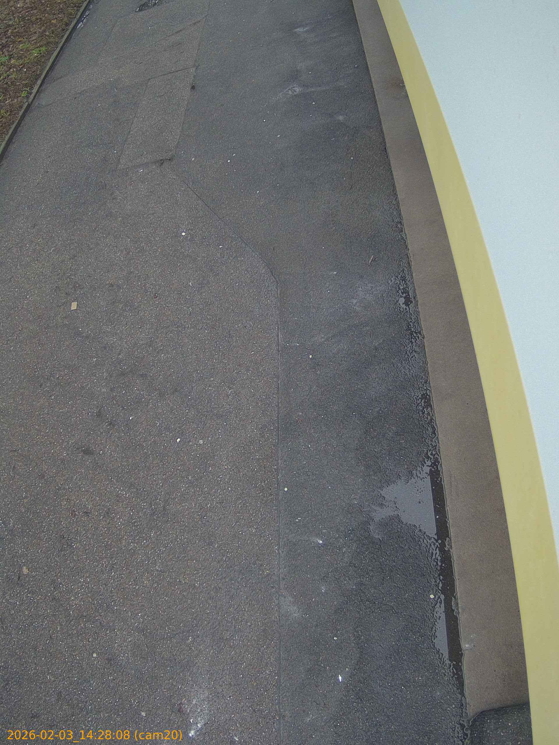 thumbnail_20260203142808