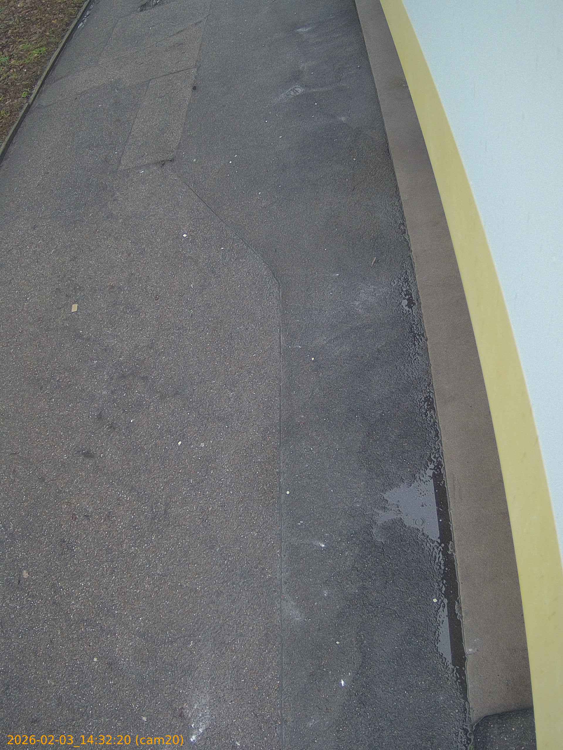 thumbnail_20260203143220