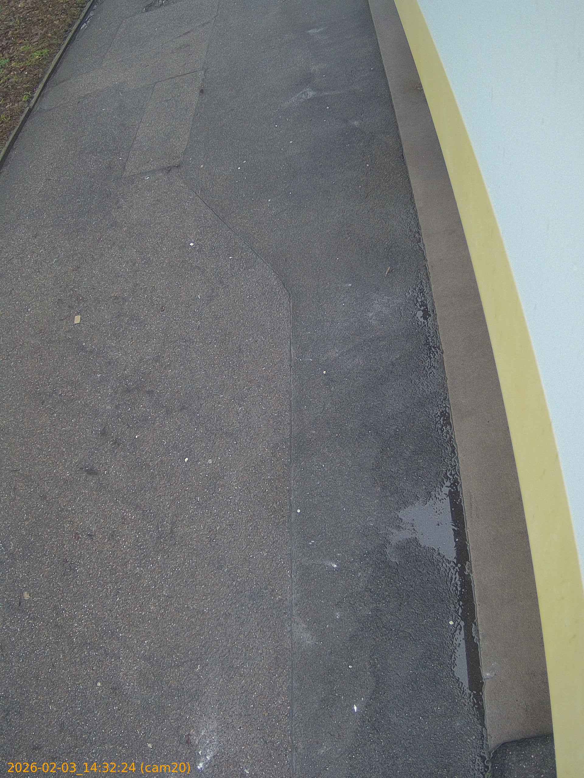 thumbnail_20260203143224