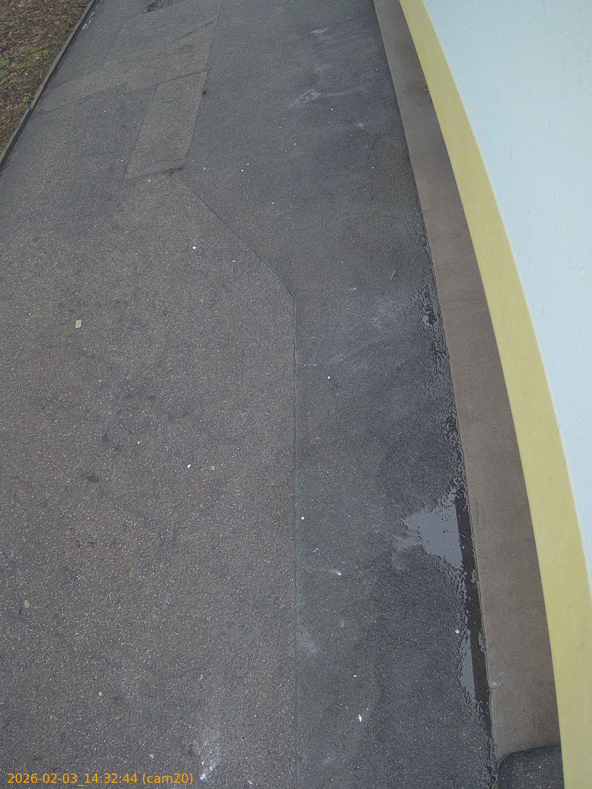 thumbnail_20260203143244