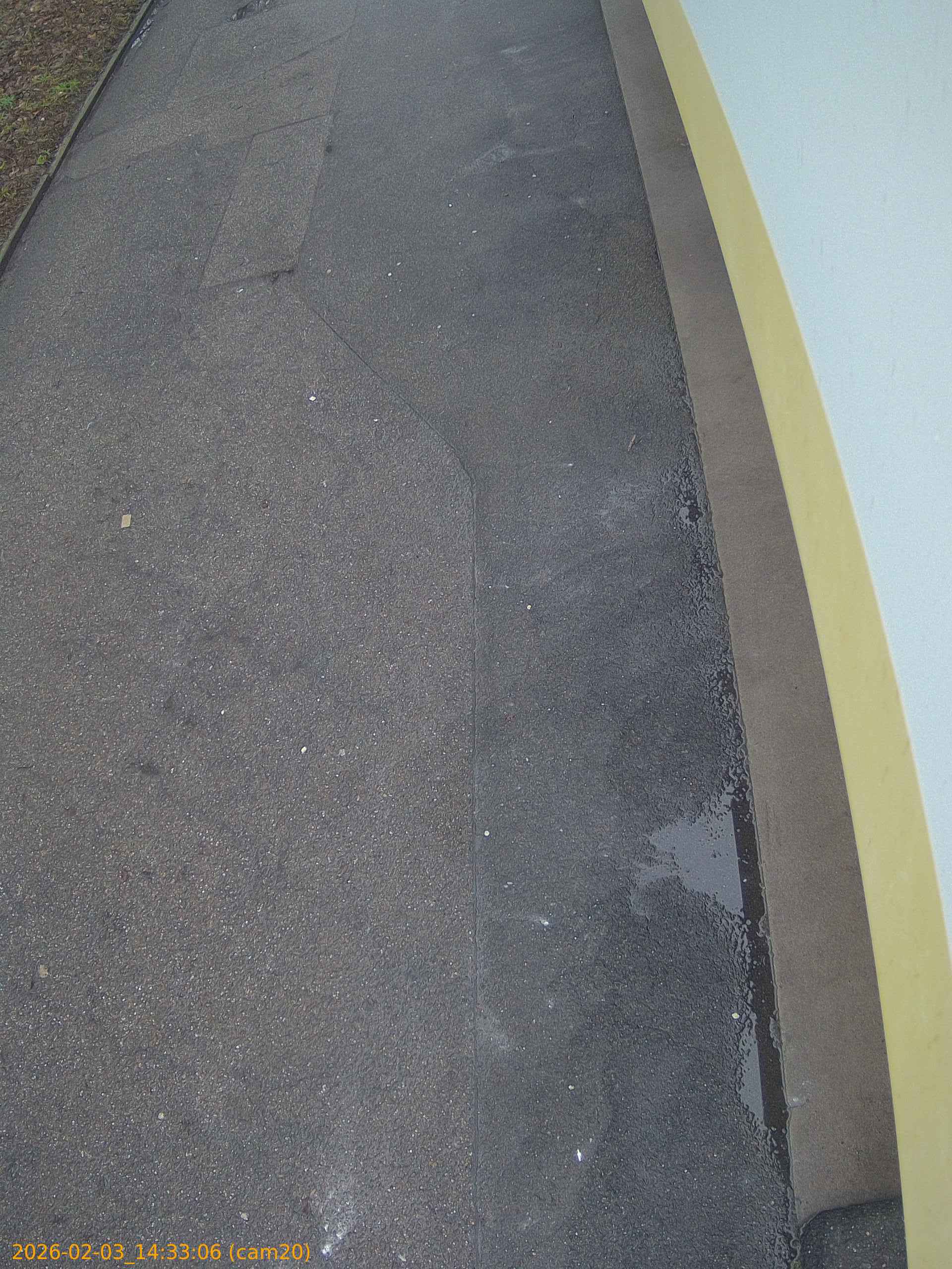 thumbnail_20260203143306