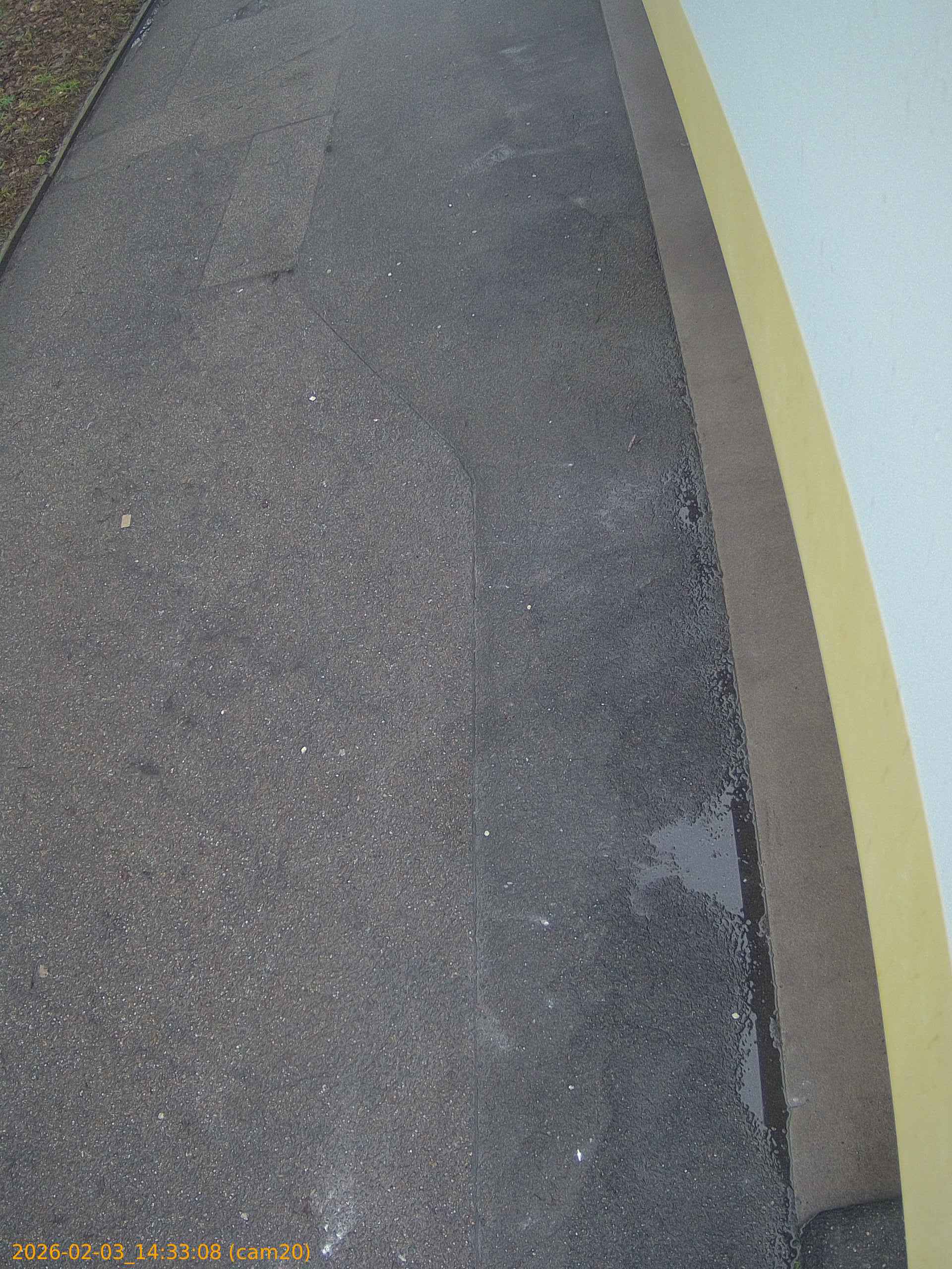 thumbnail_20260203143308