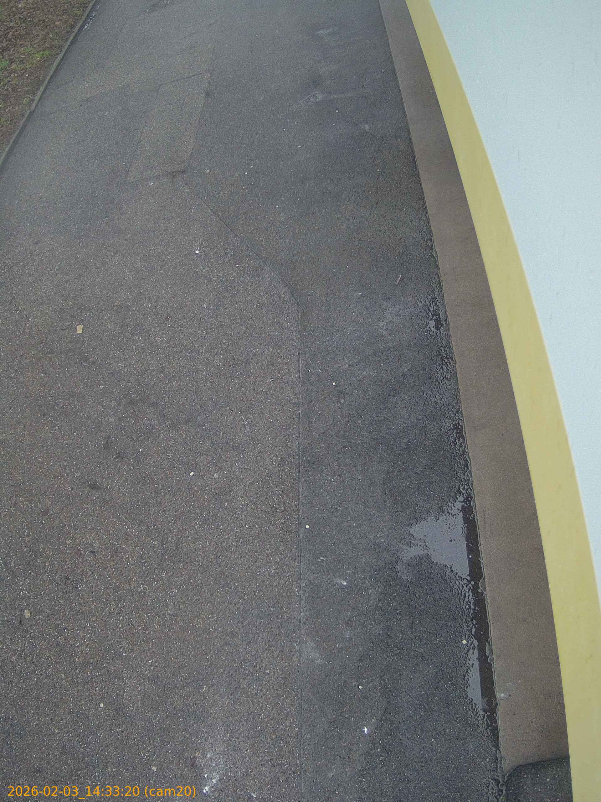 thumbnail_20260203143320