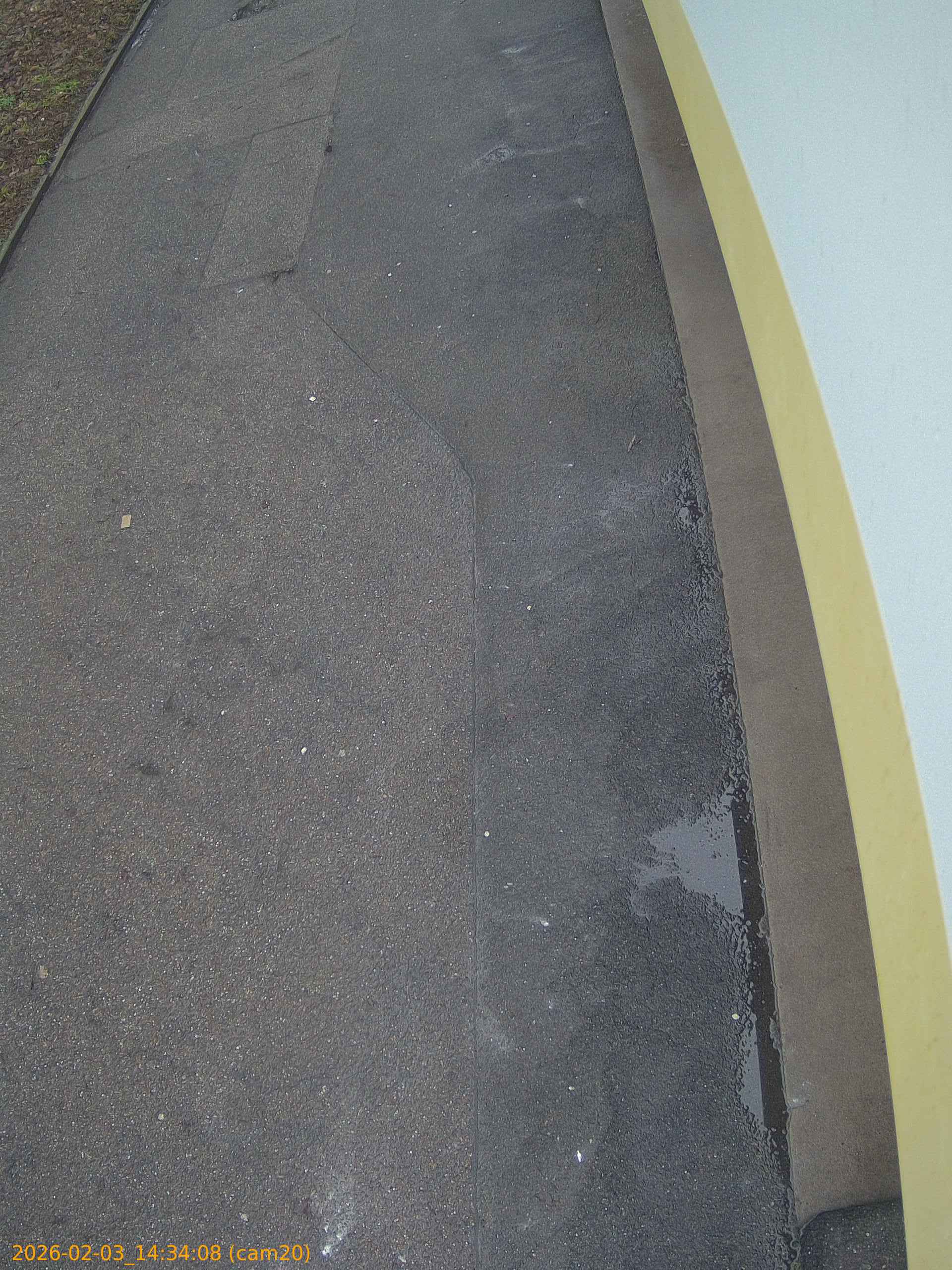 thumbnail_20260203143408