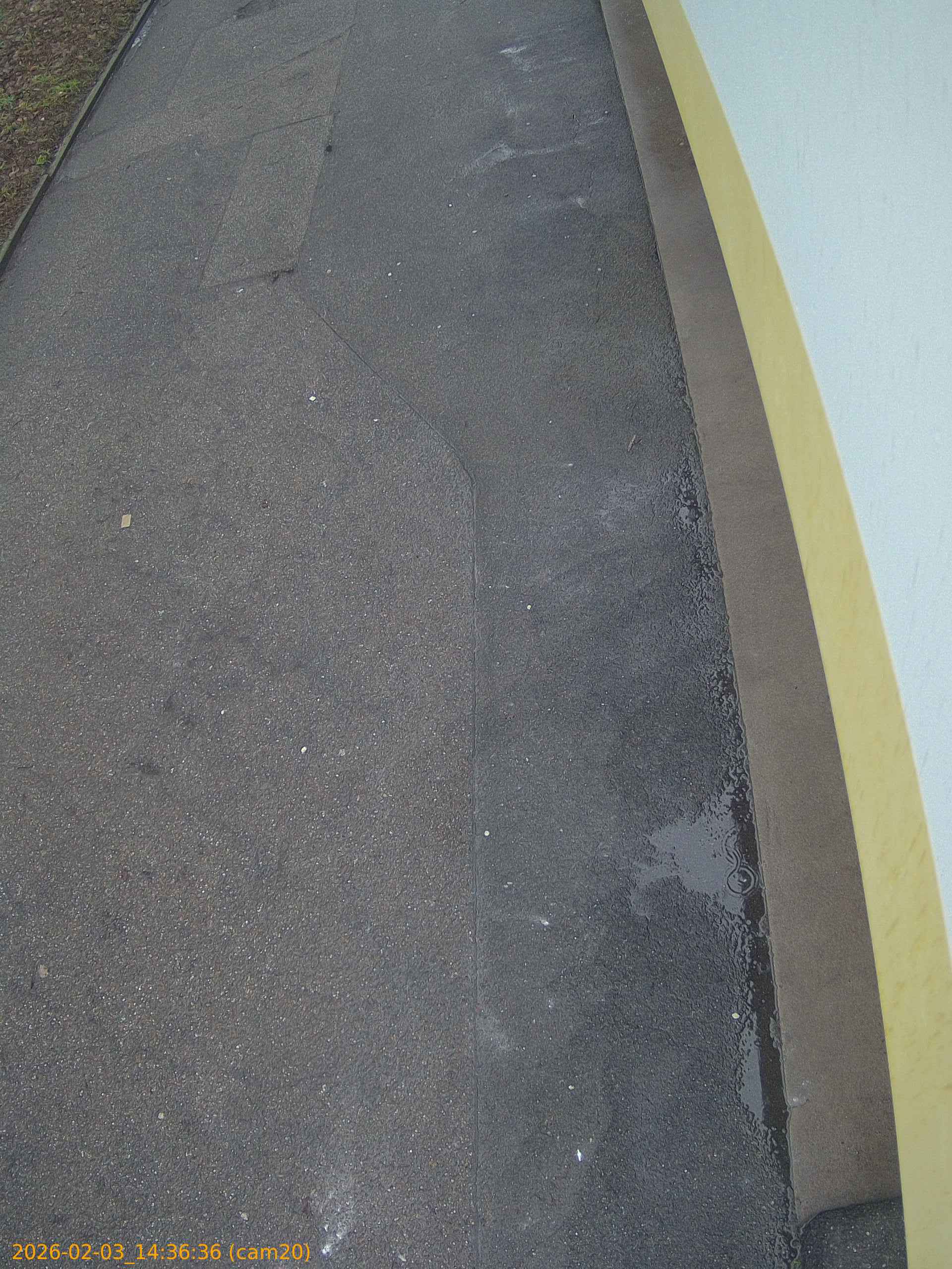 thumbnail_20260203143636