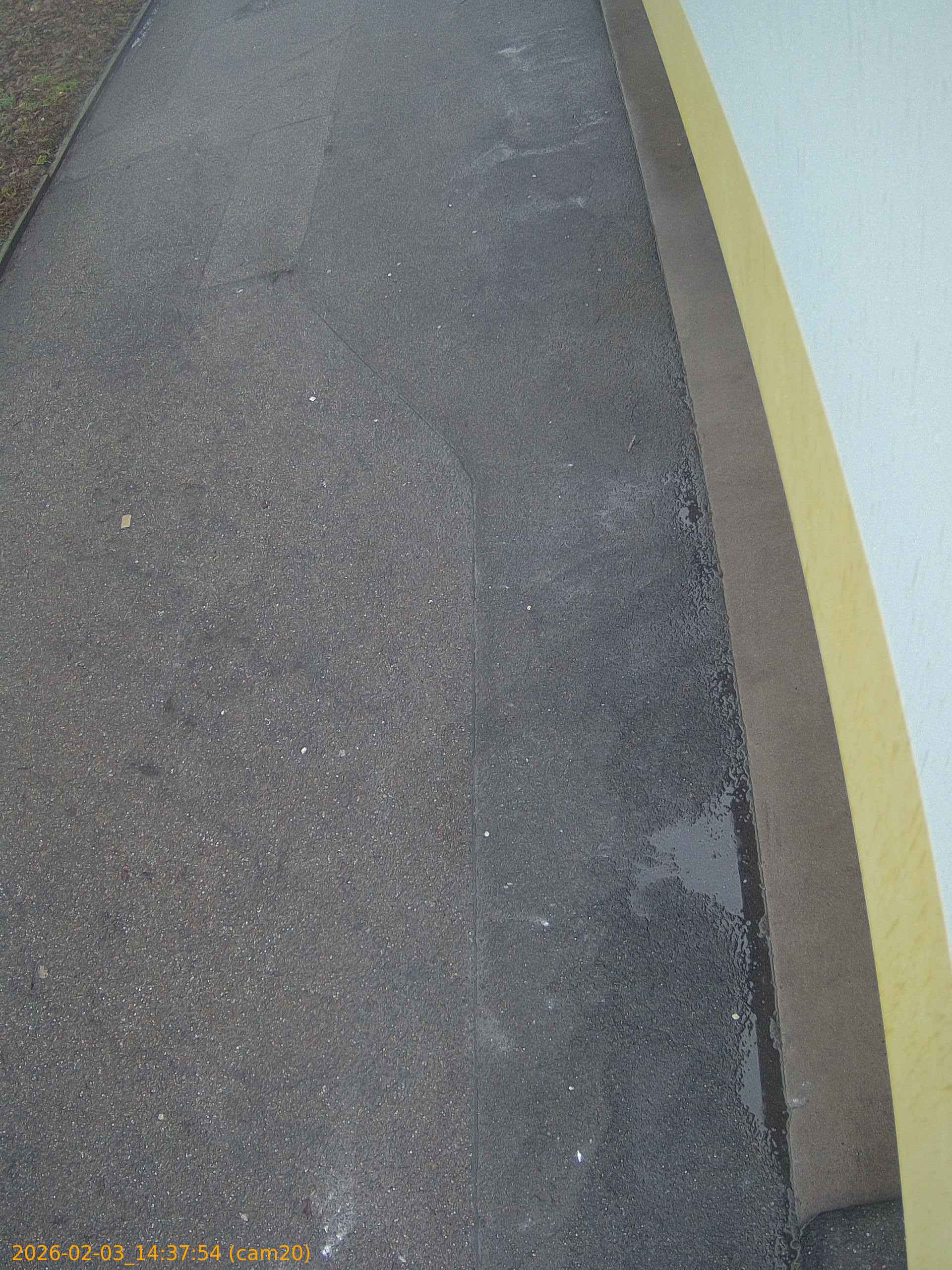 thumbnail_20260203143754