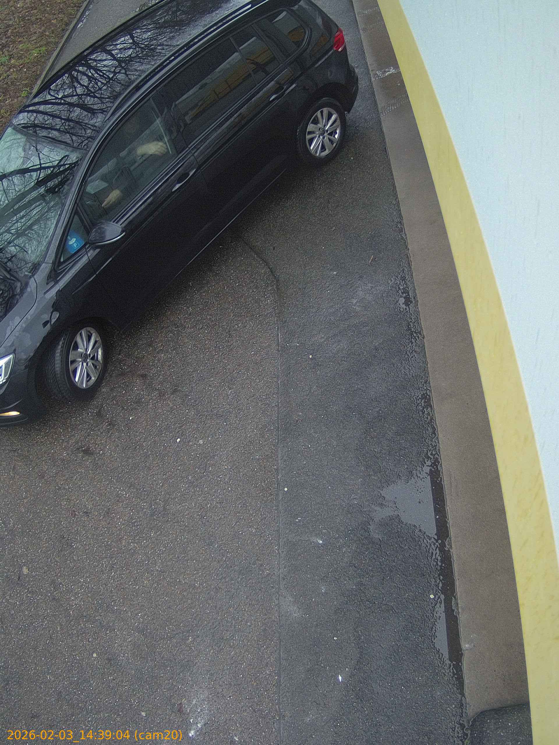 thumbnail_20260203143904