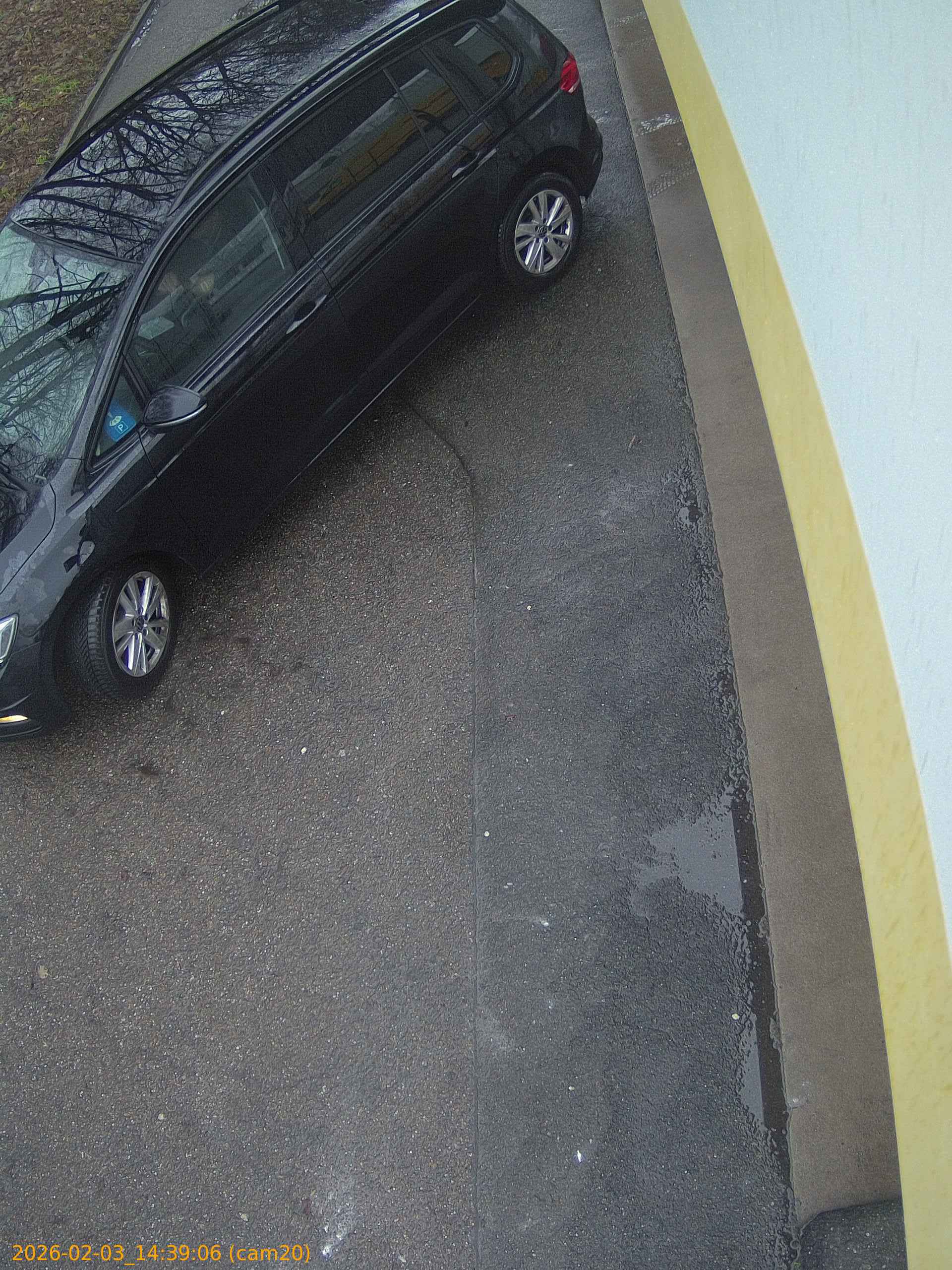 thumbnail_20260203143906