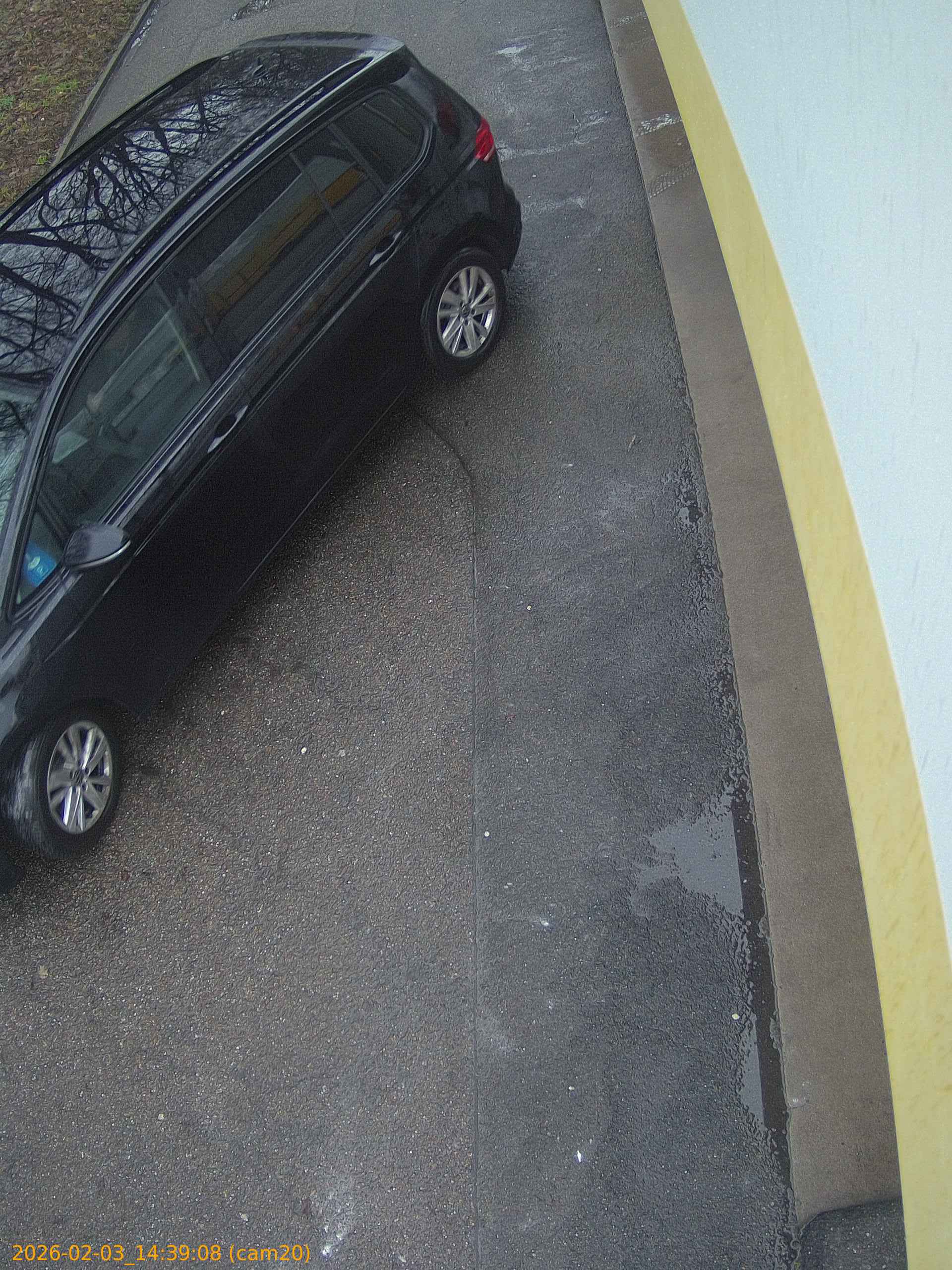 thumbnail_20260203143908