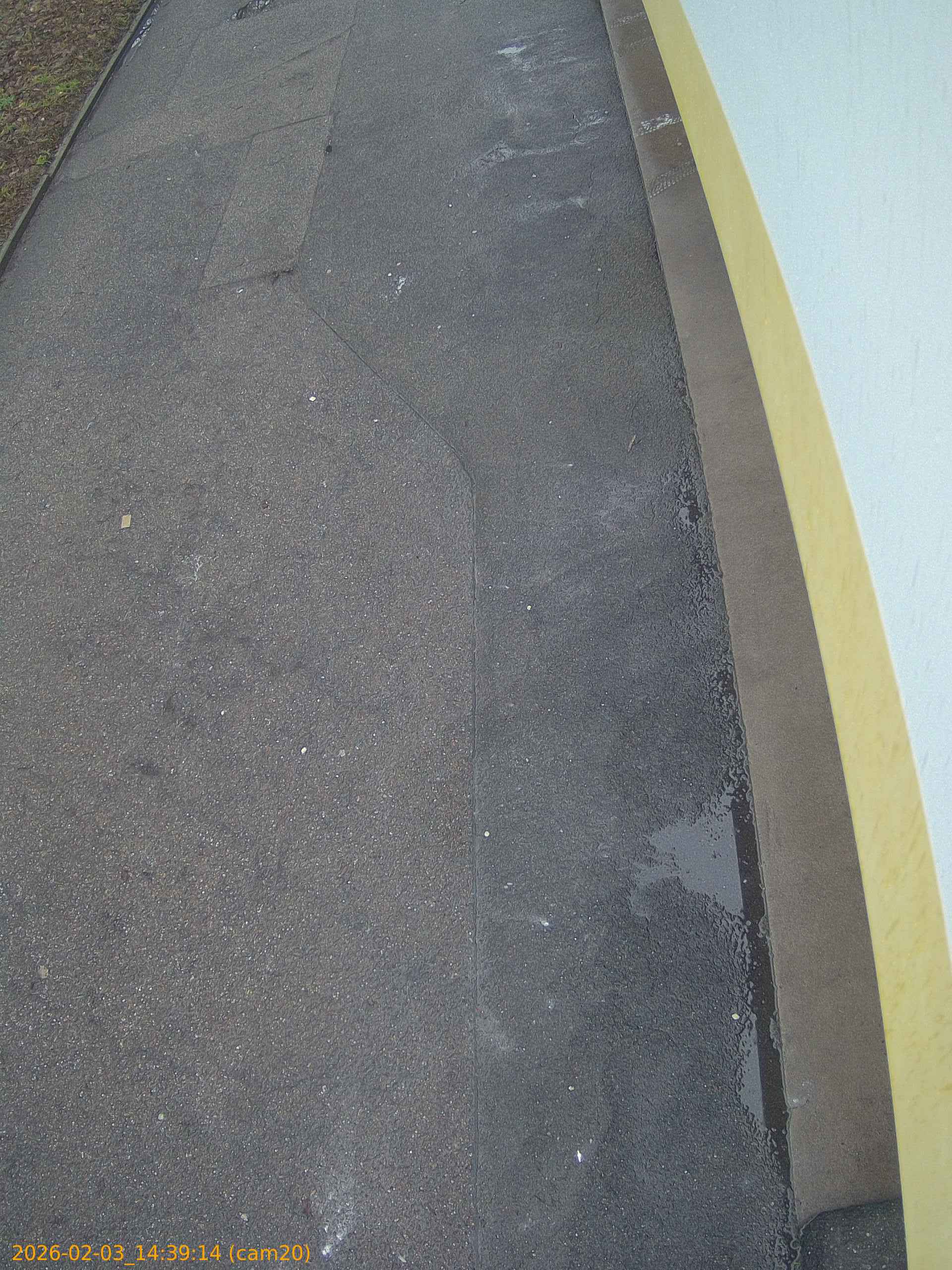 thumbnail_20260203143914