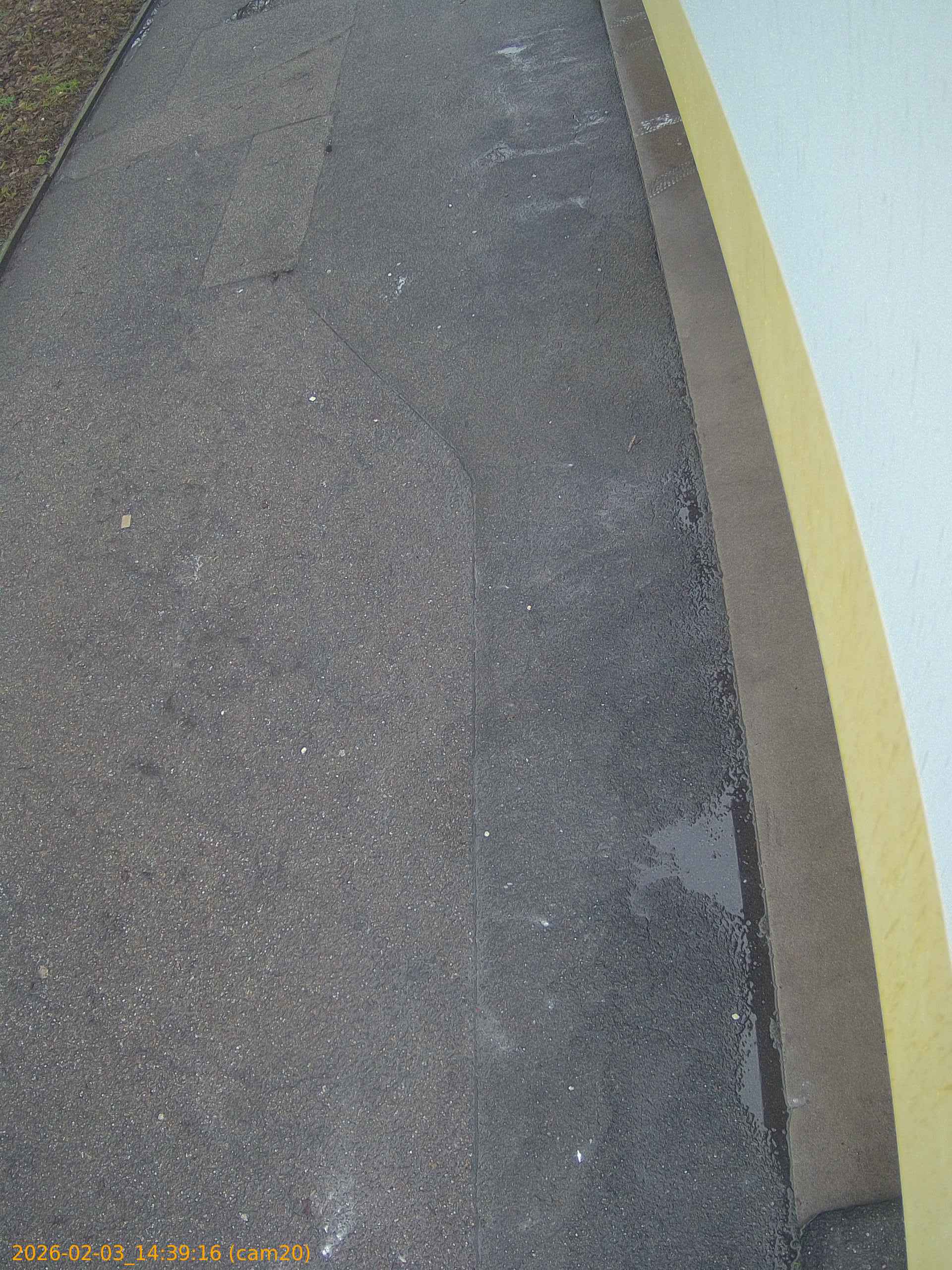 thumbnail_20260203143916