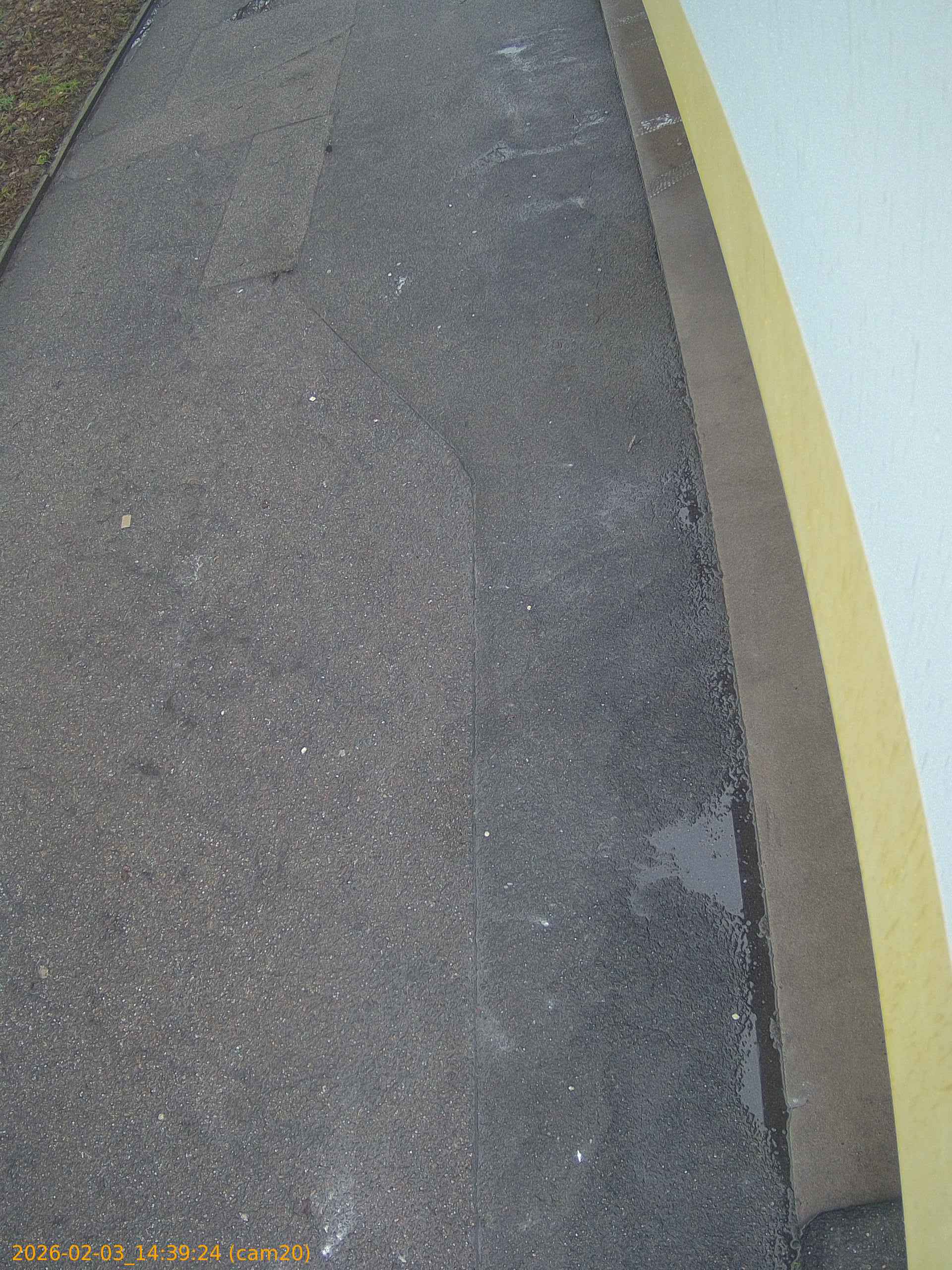 thumbnail_20260203143924