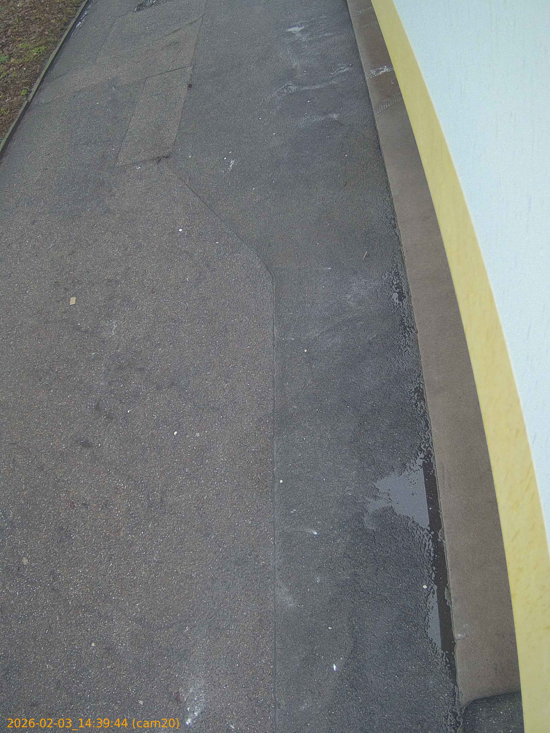 thumbnail_20260203143944