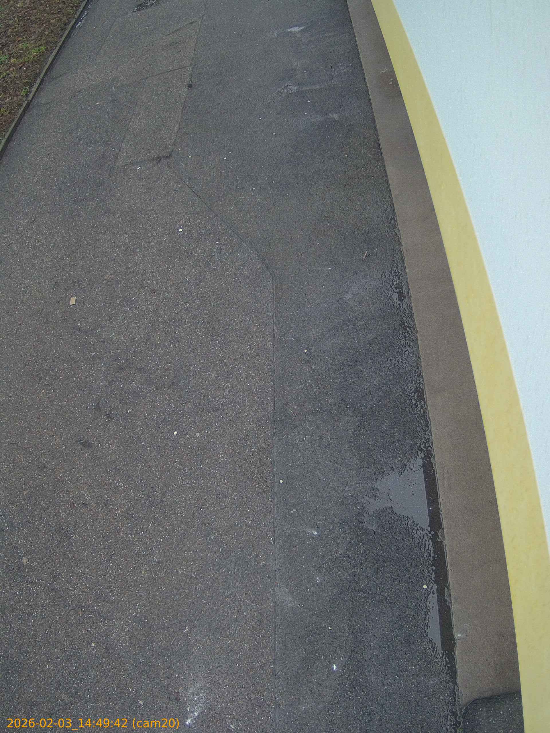 thumbnail_20260203144942