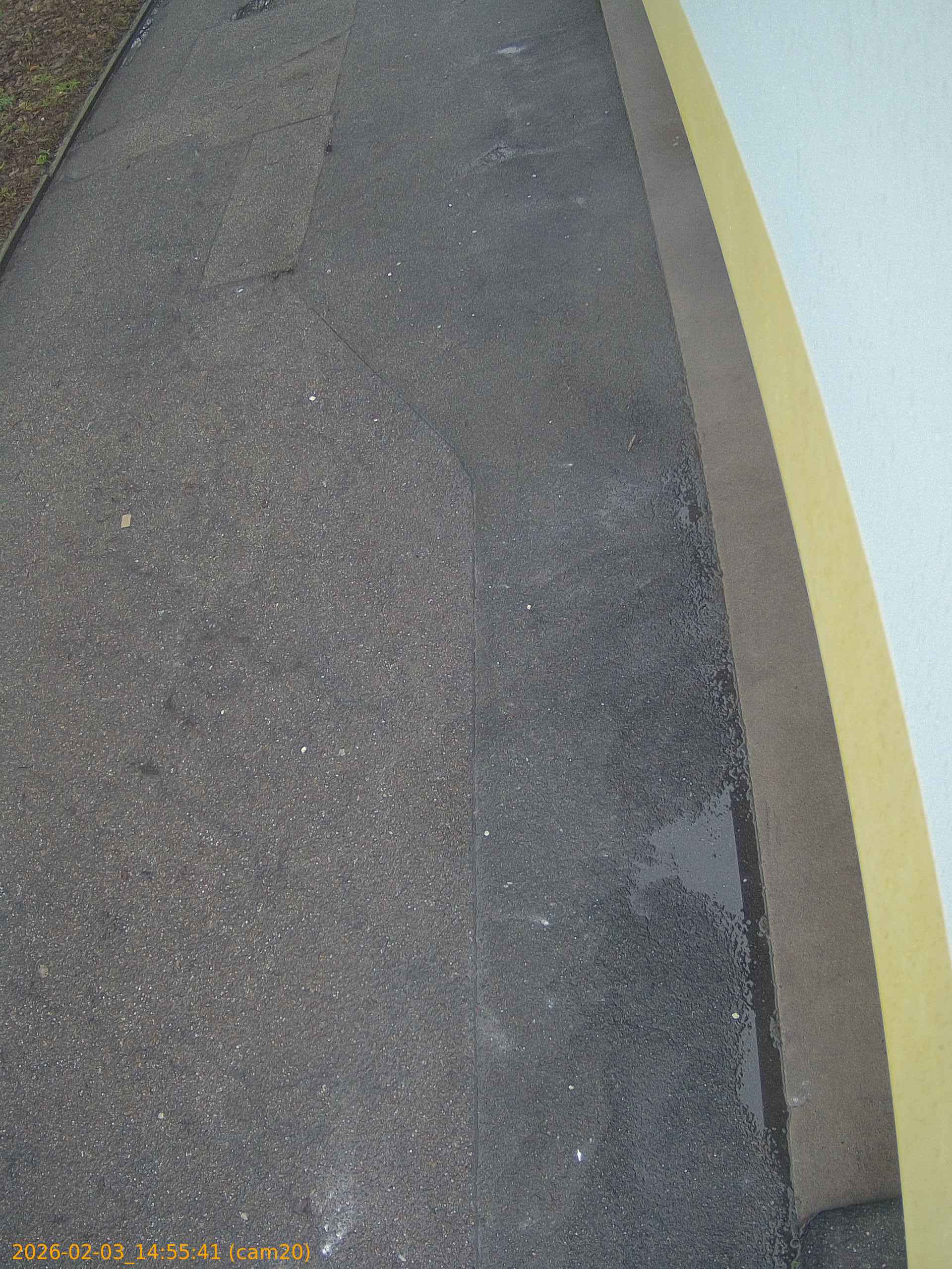 thumbnail_20260203145541