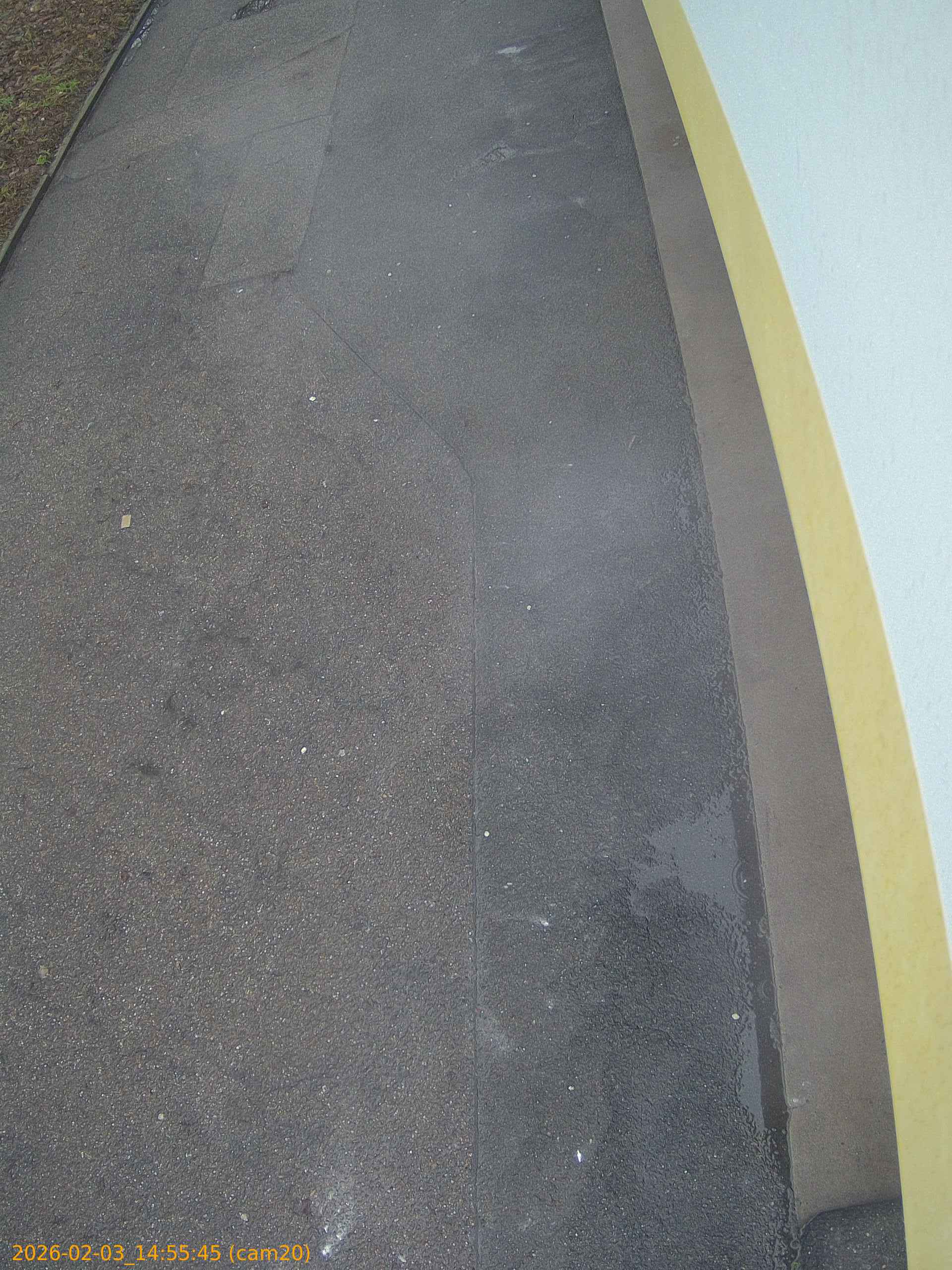 thumbnail_20260203145545