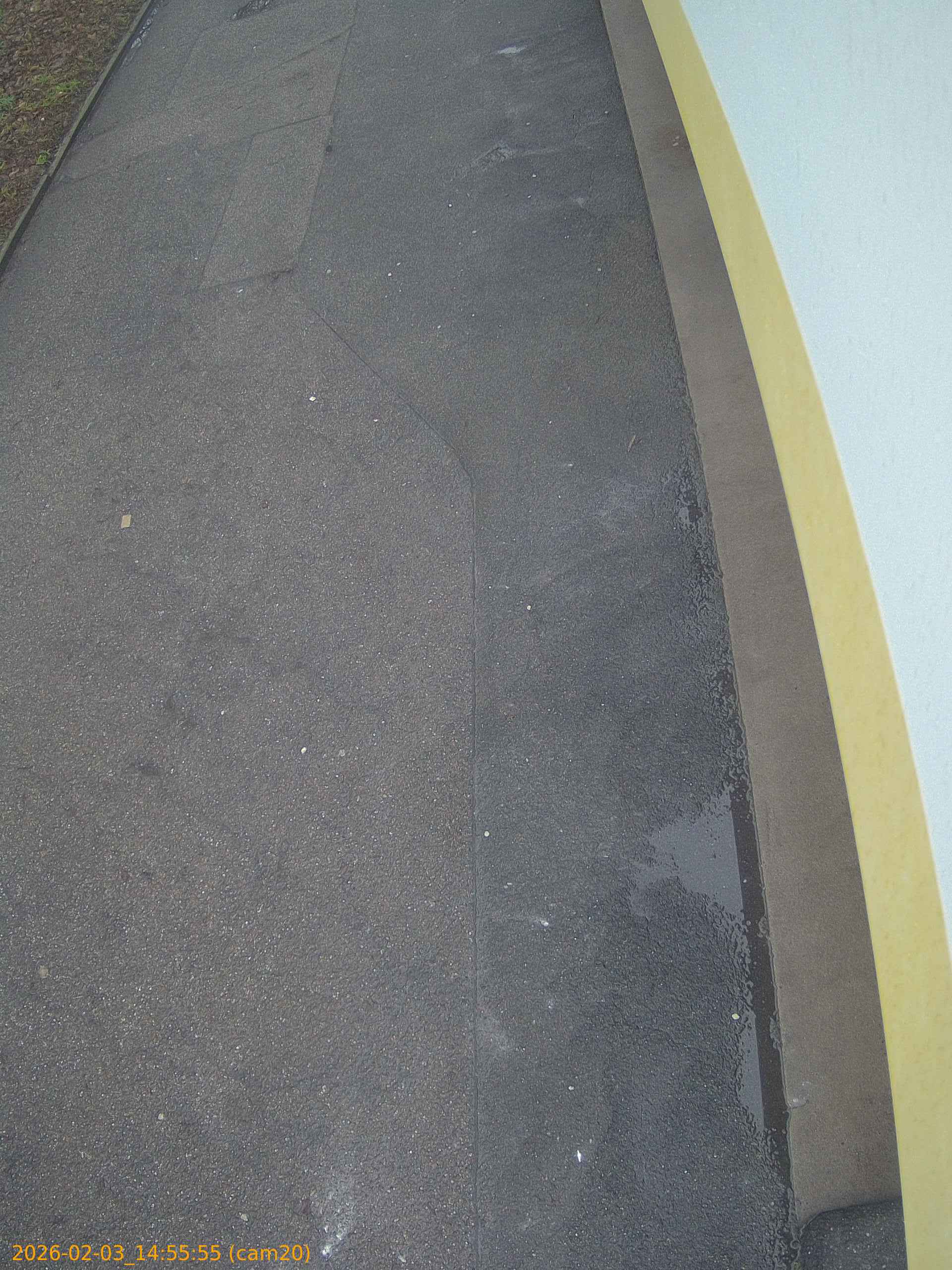 thumbnail_20260203145555