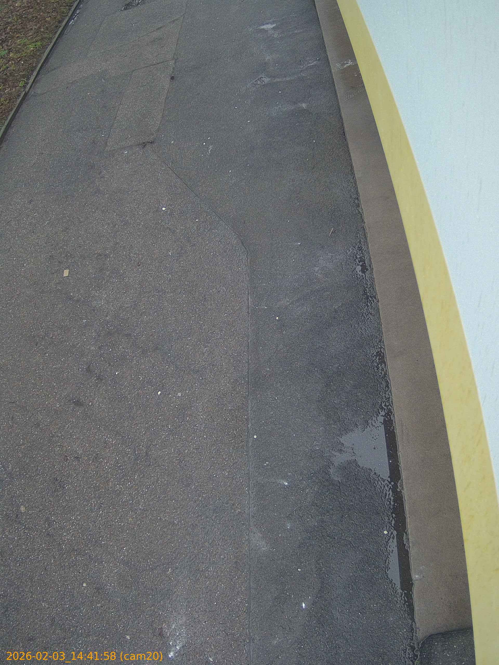 thumbnail_202602031441