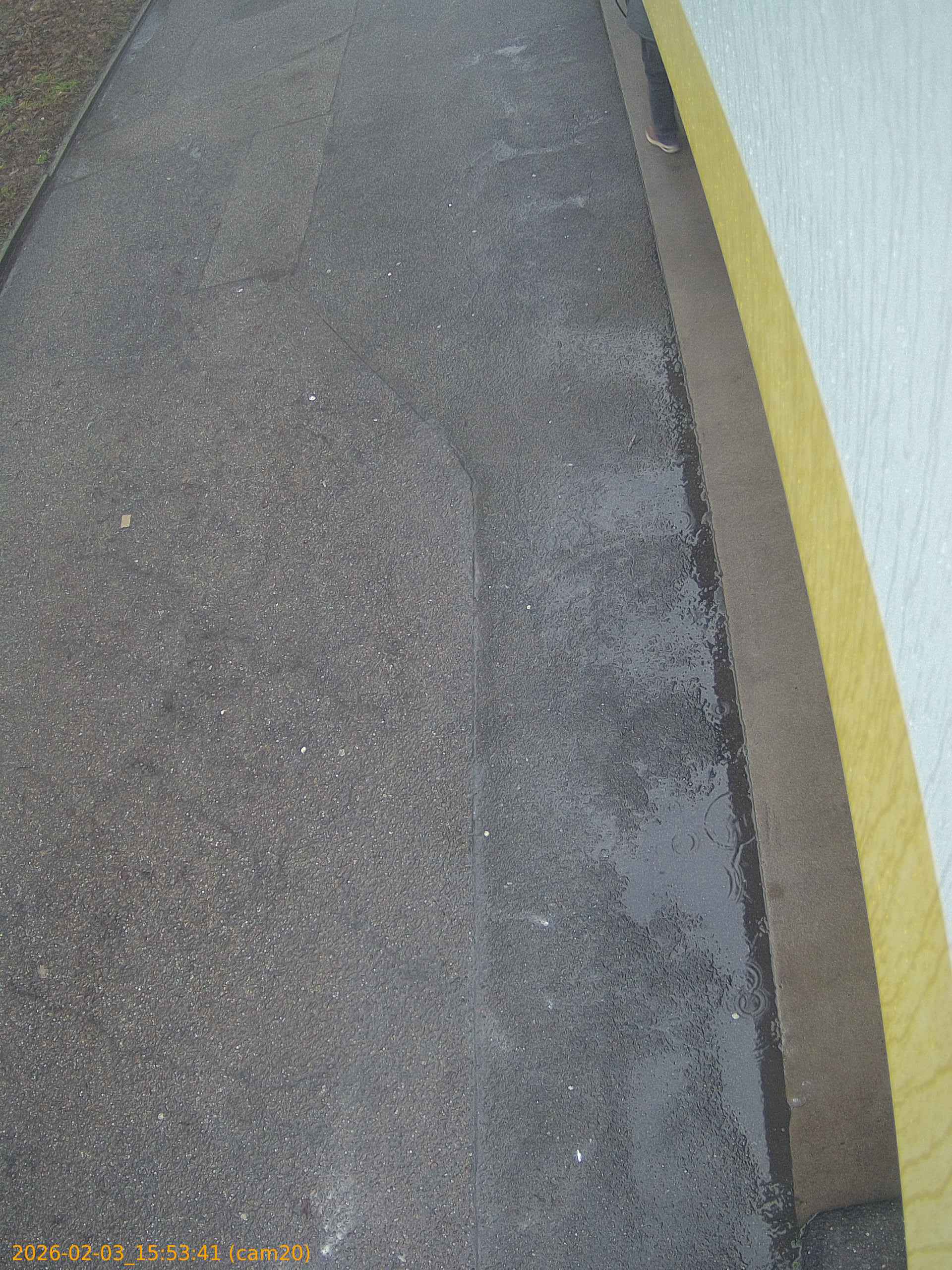 thumbnail_20260203155341