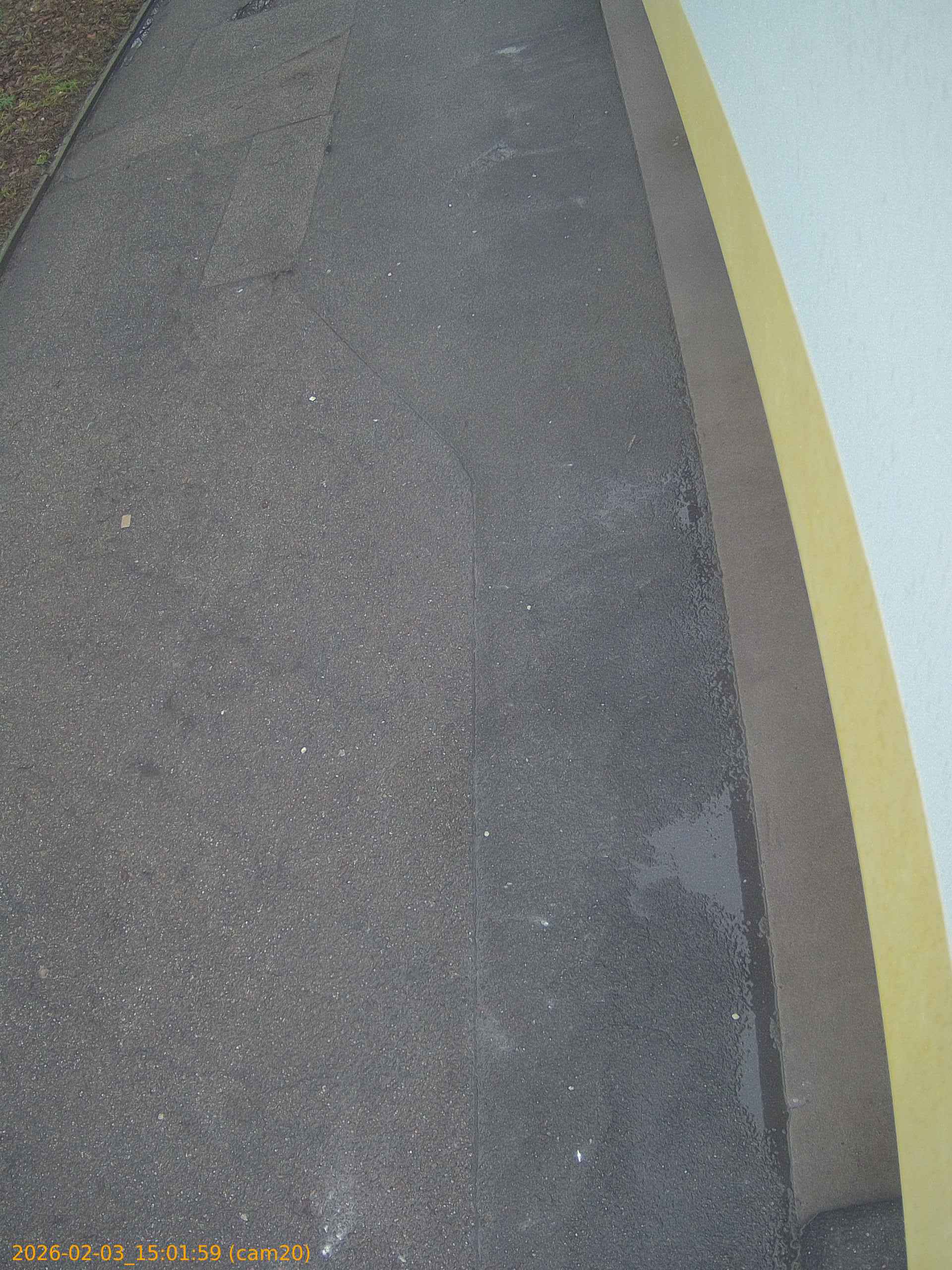 thumbnail_202602031501