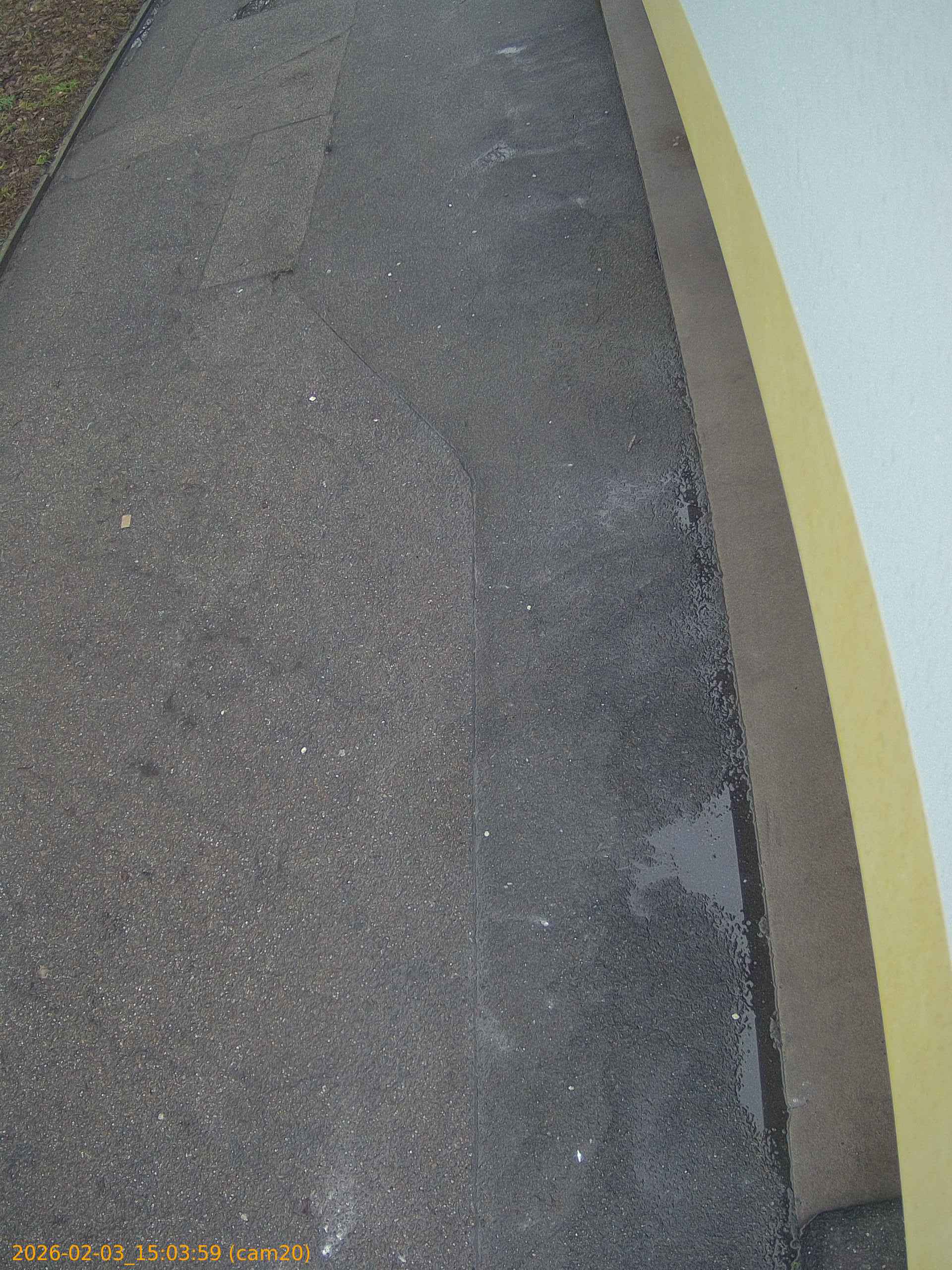 thumbnail_202602031503