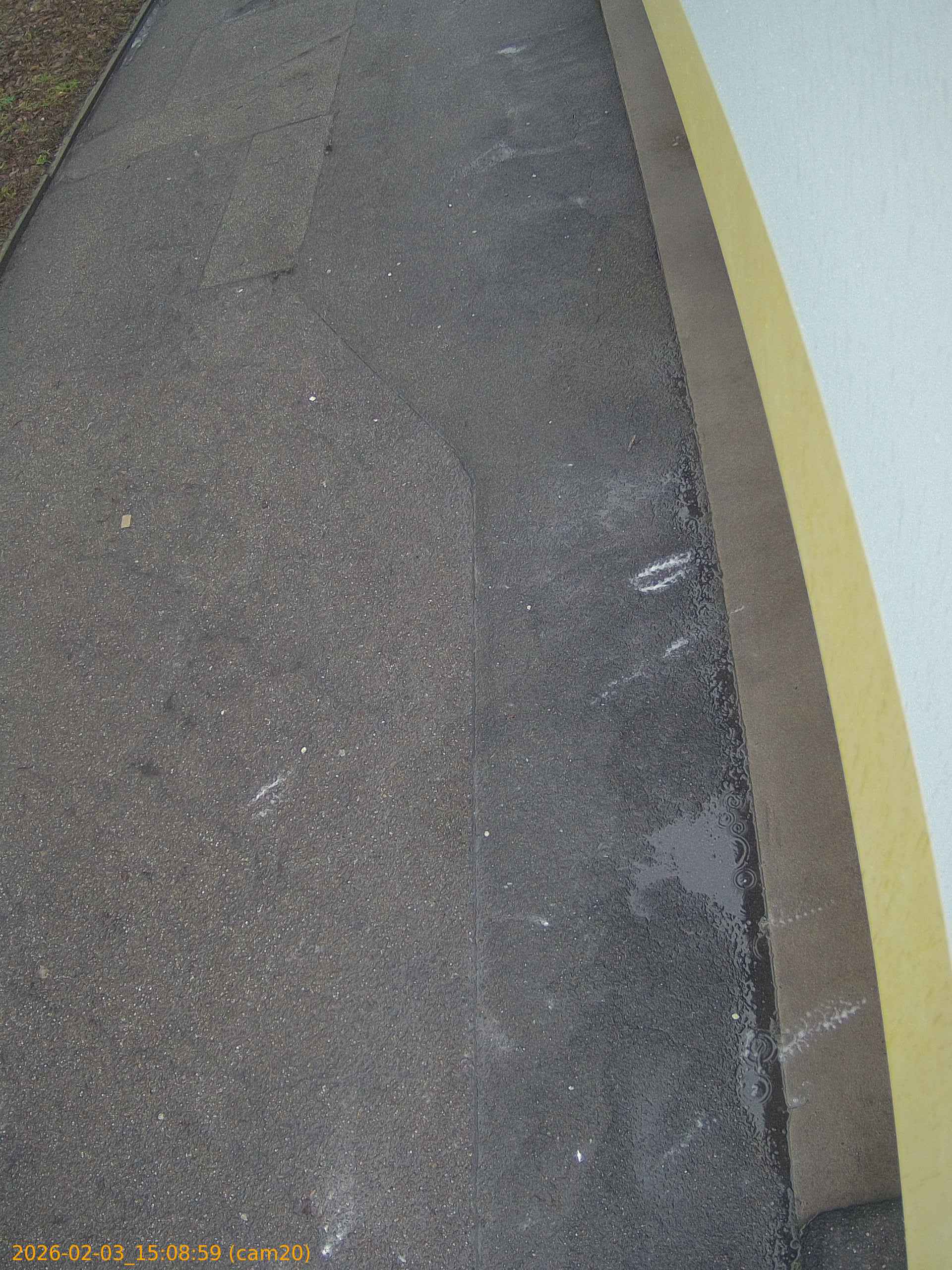 thumbnail_202602031508