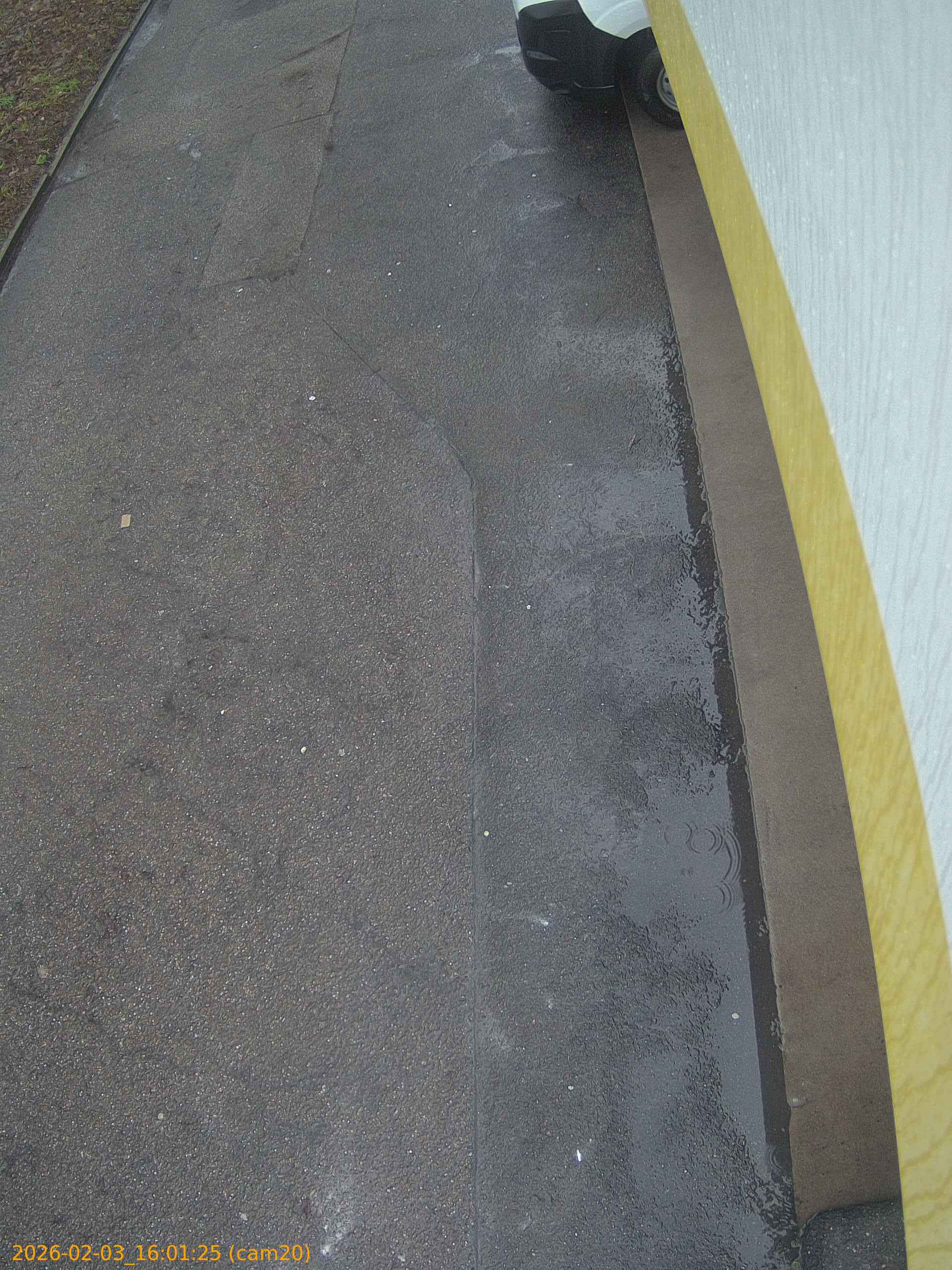 thumbnail_20260203160125