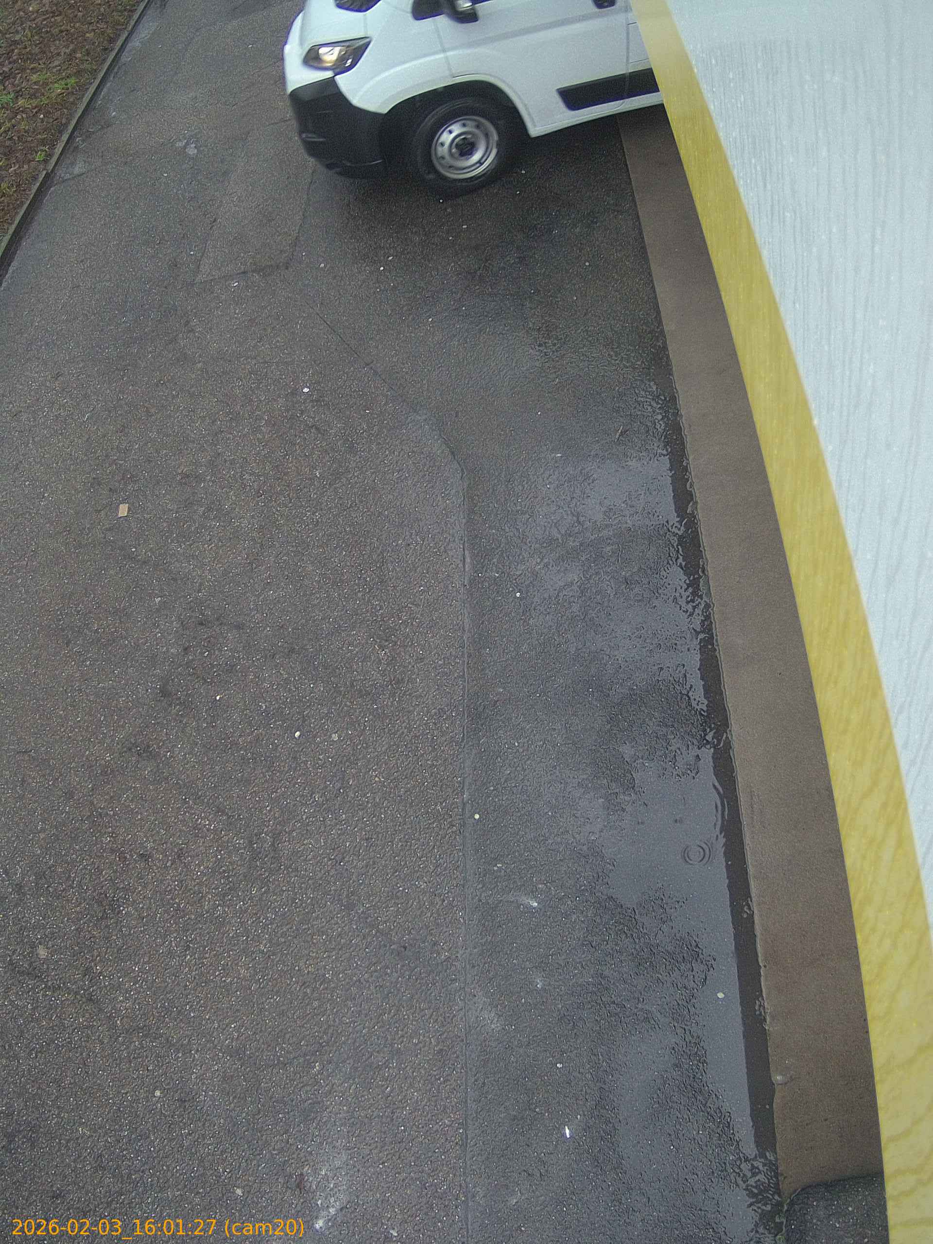 thumbnail_20260203160127