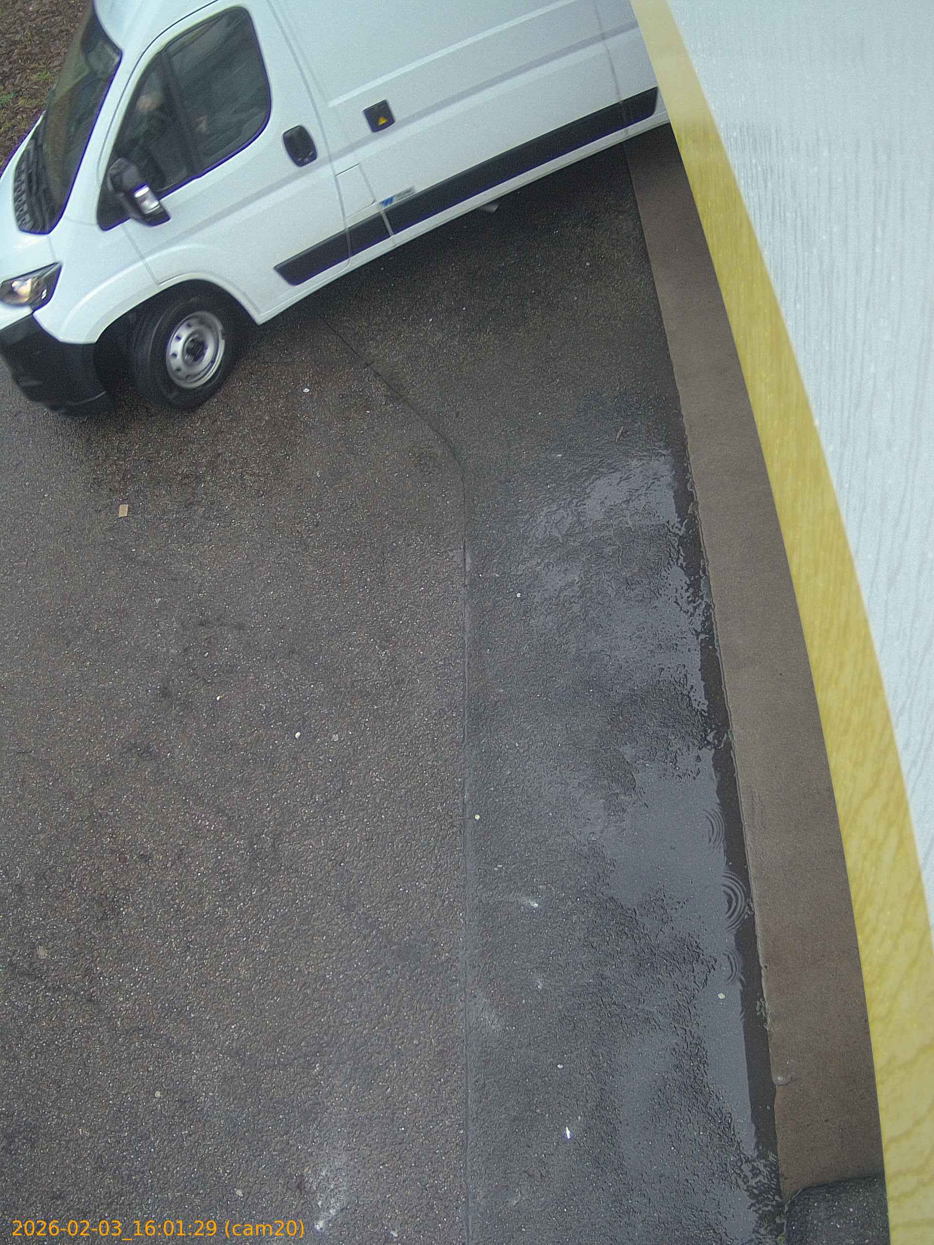 thumbnail_20260203160129