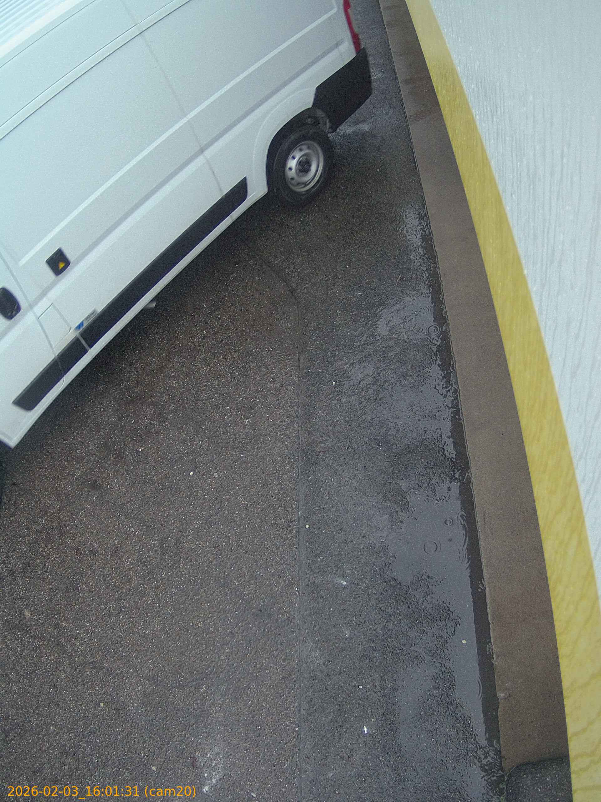 thumbnail_20260203160131