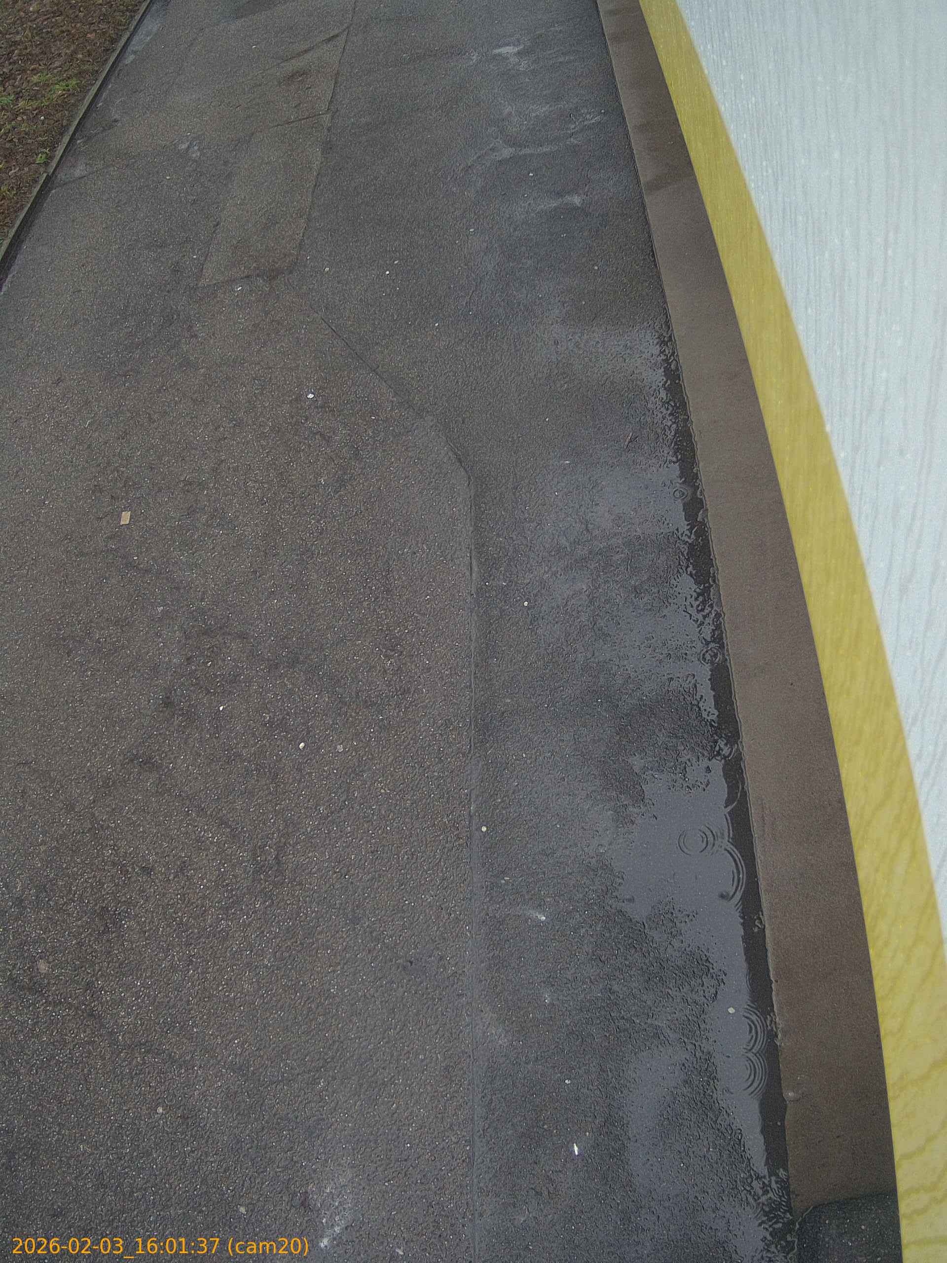 thumbnail_20260203160137