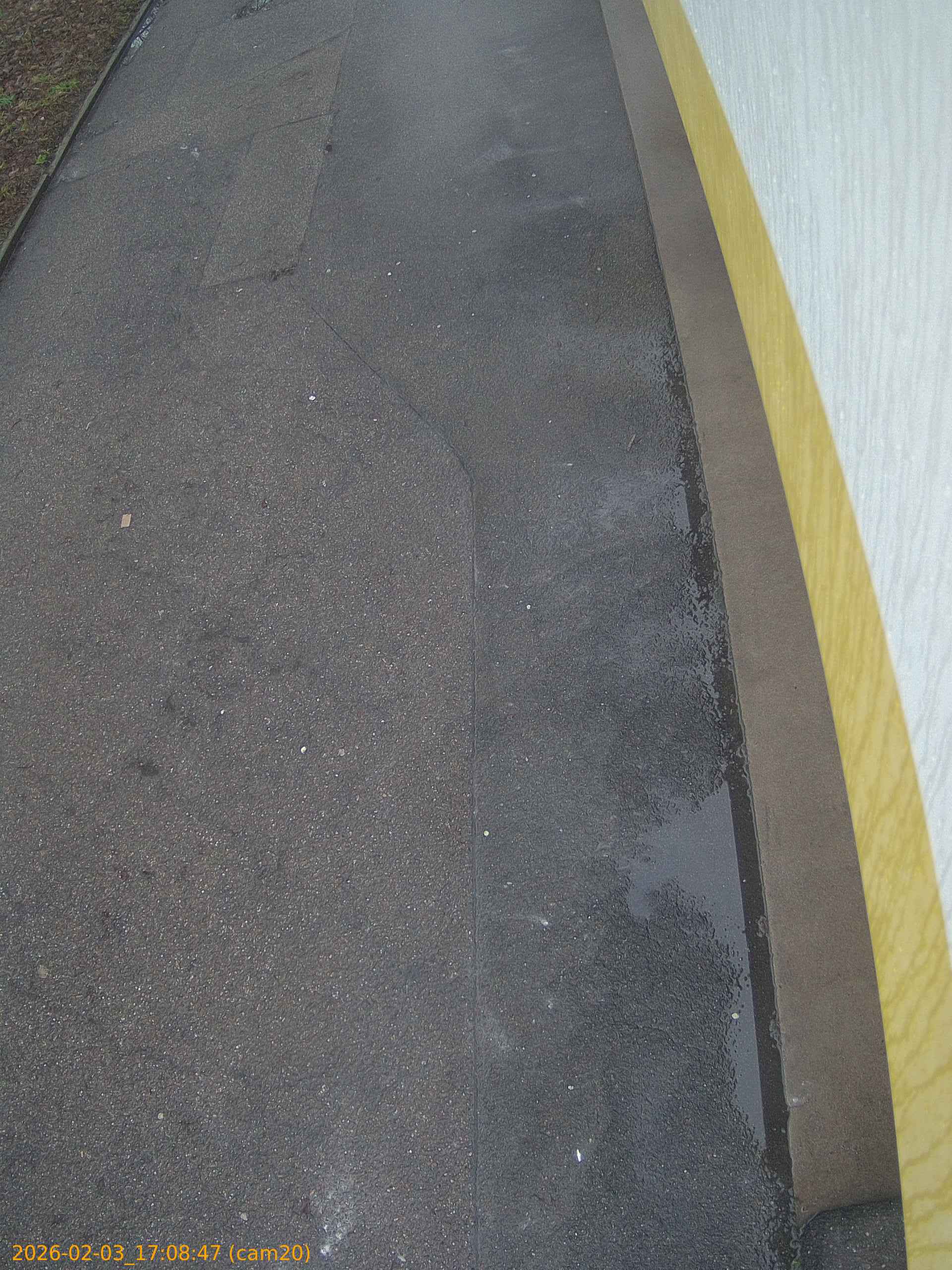 thumbnail_20260203170847