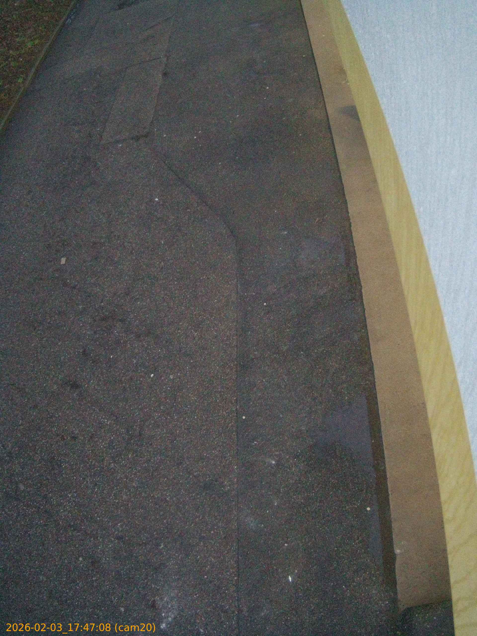 thumbnail_20260203174708