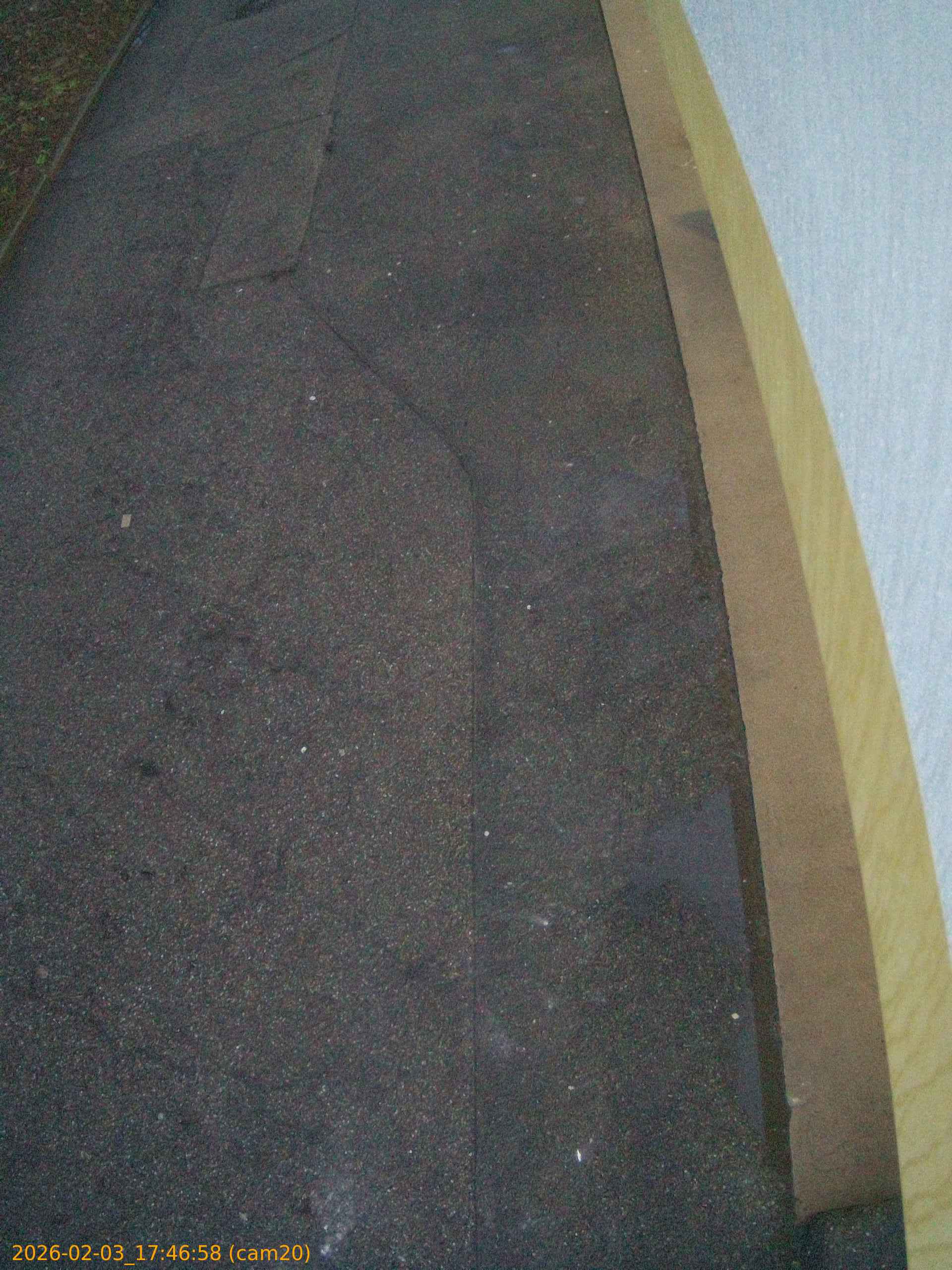 thumbnail_202602031746