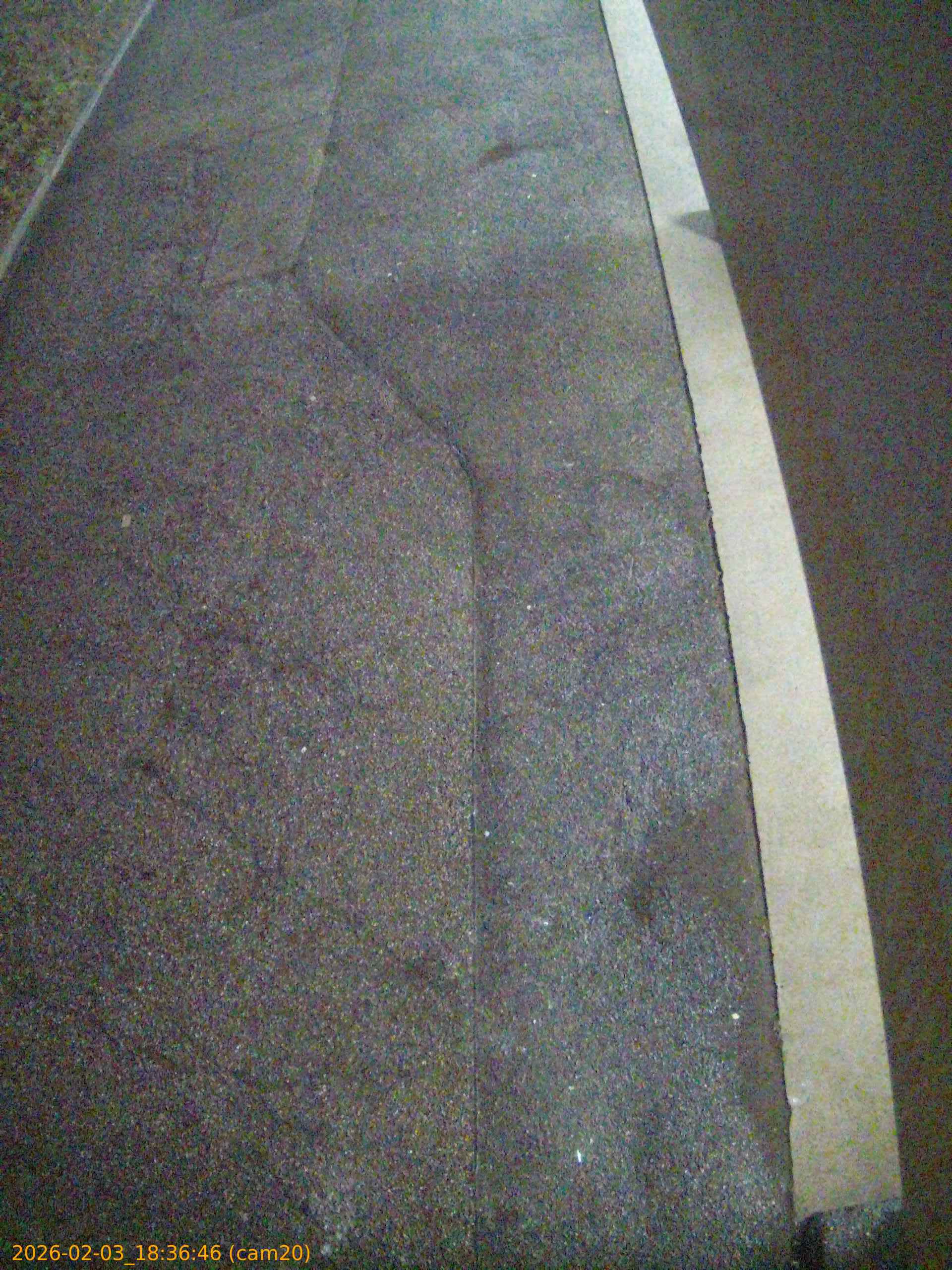 thumbnail_20260203183646