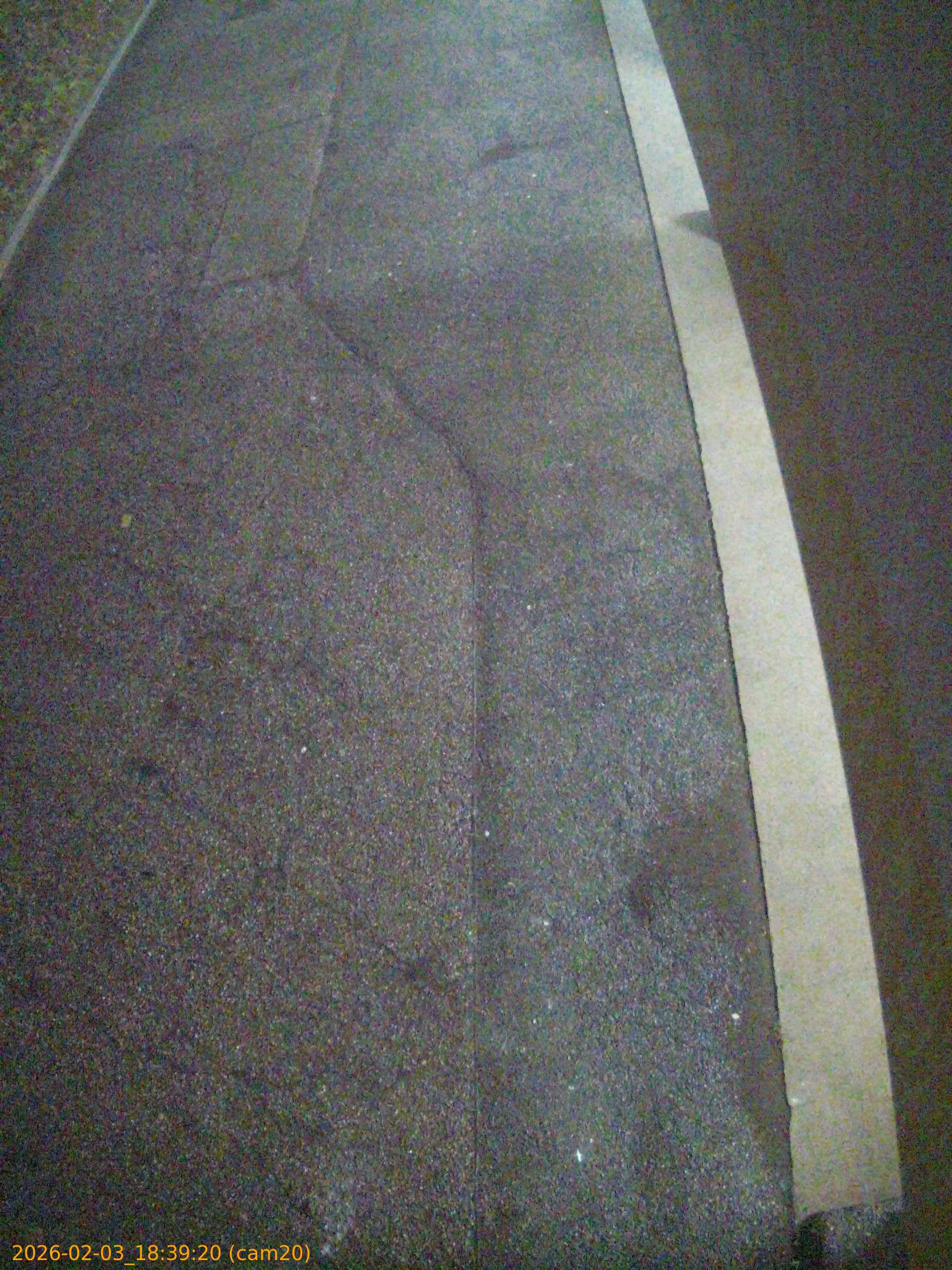 thumbnail_20260203183920