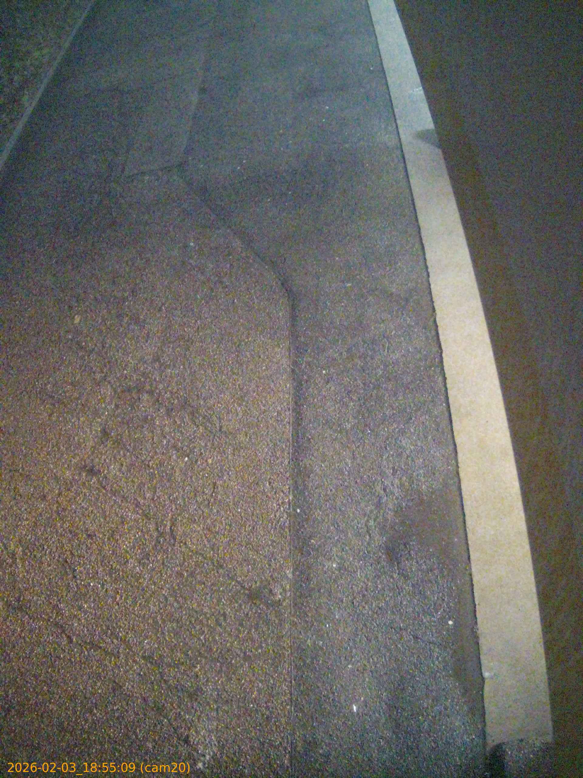 thumbnail_20260203185509