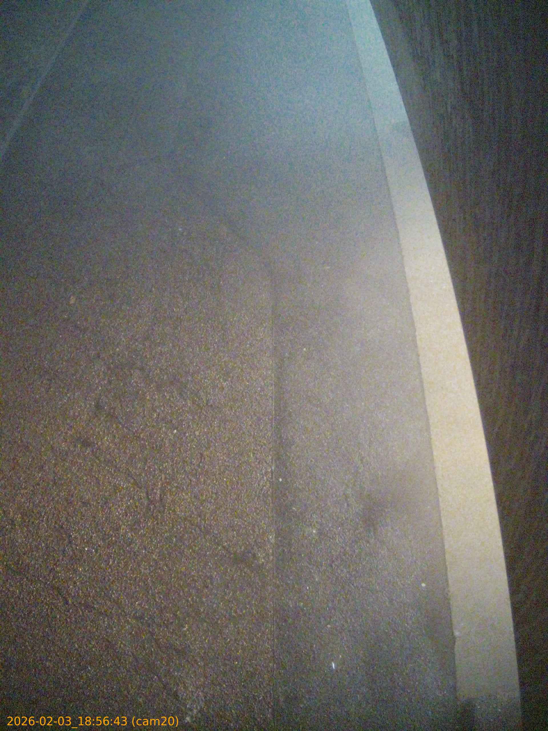 thumbnail_20260203185643