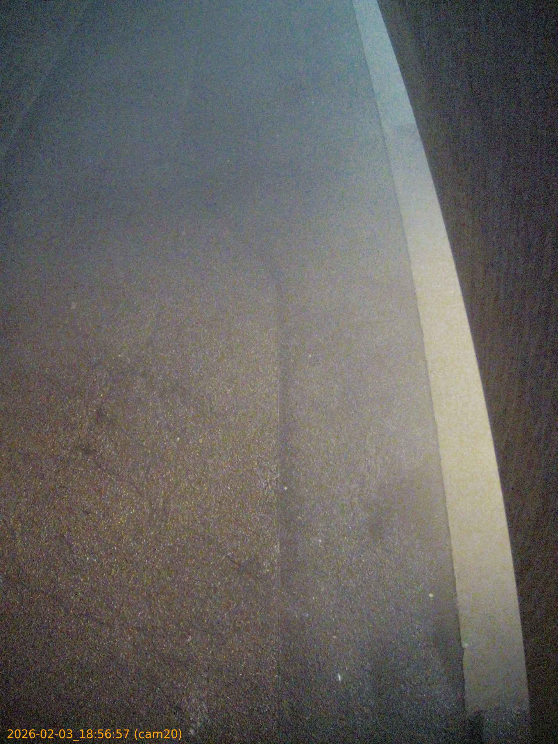 thumbnail_20260203185657