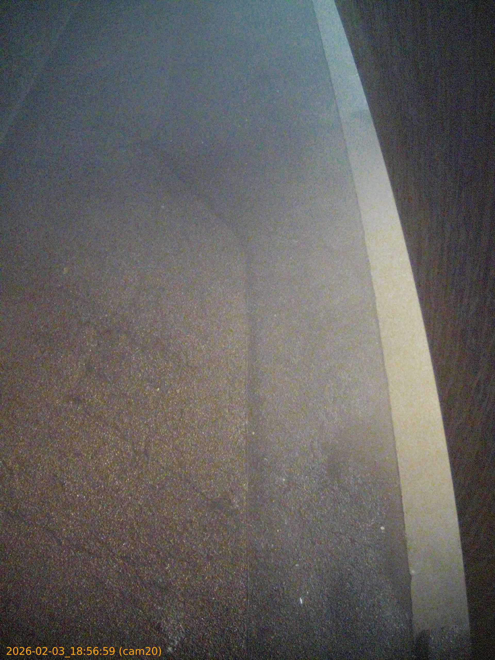 thumbnail_202602031856