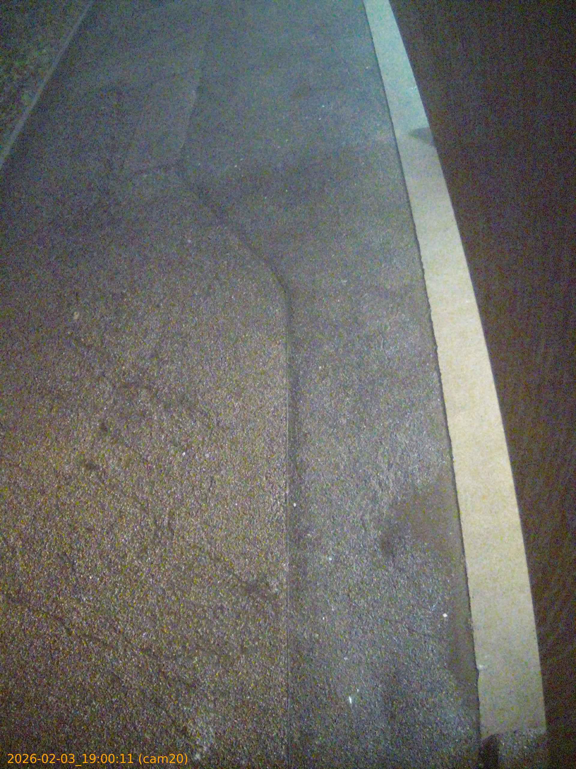 thumbnail_20260203190011