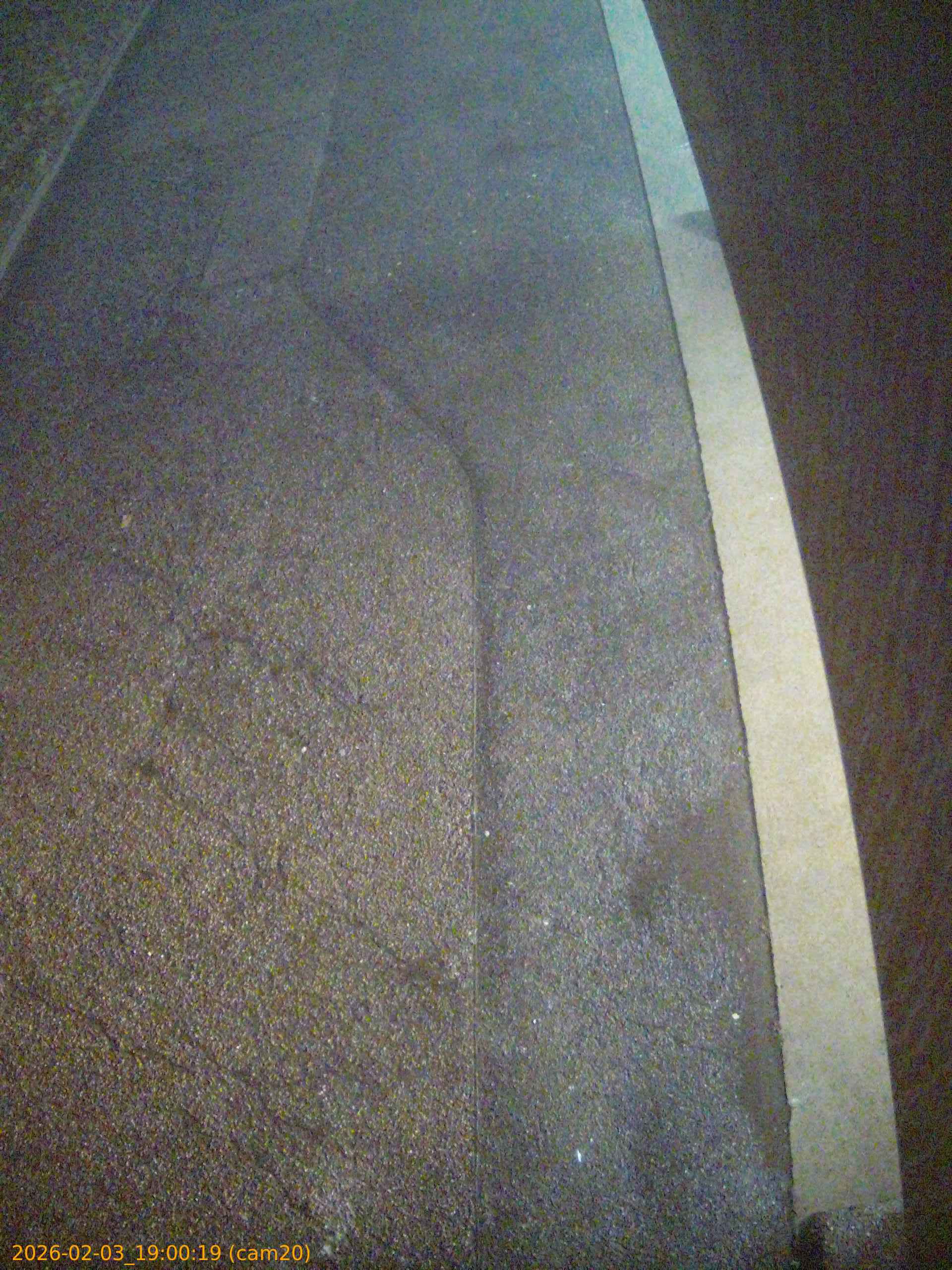 thumbnail_20260203190019