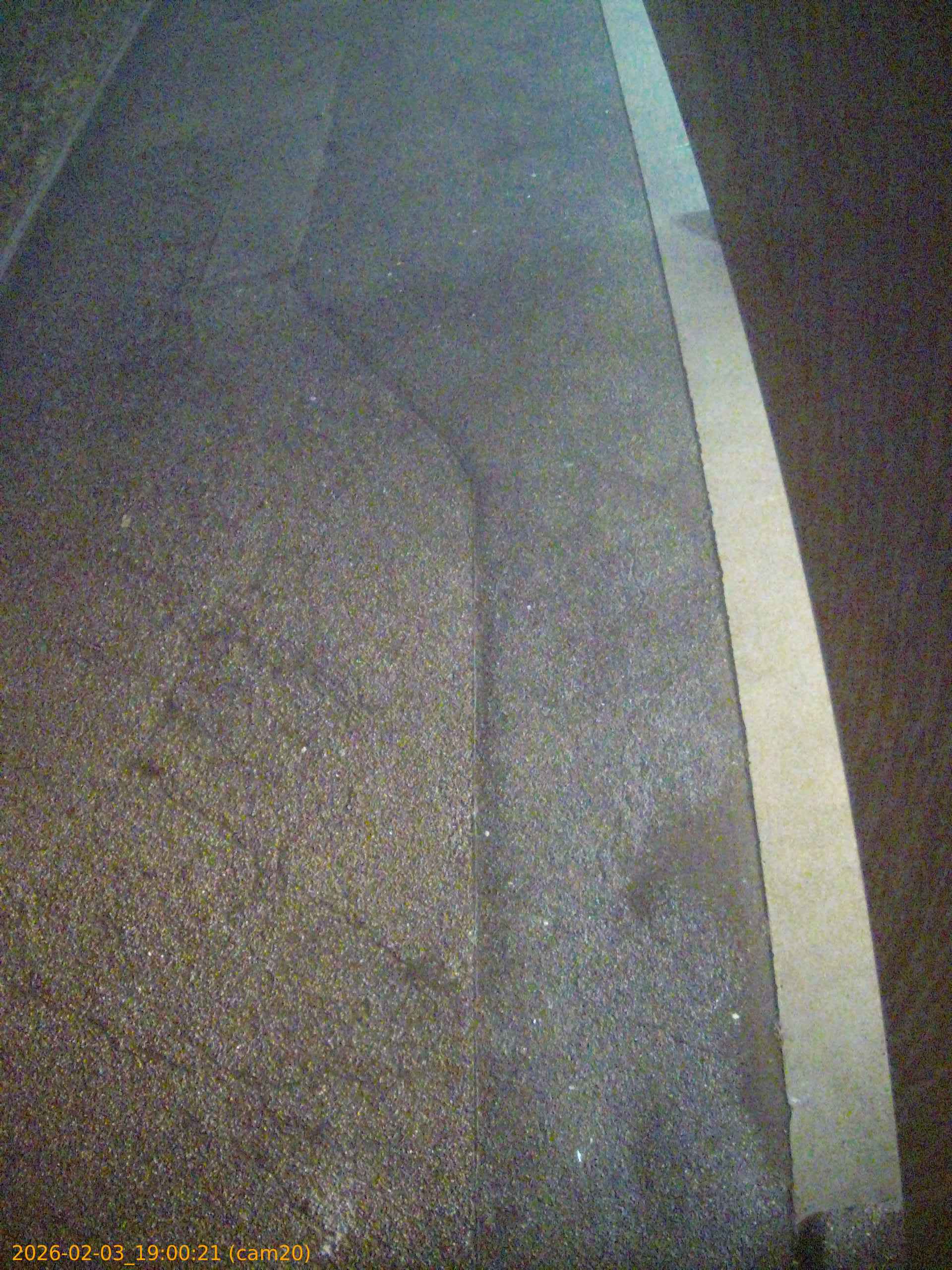 thumbnail_20260203190021